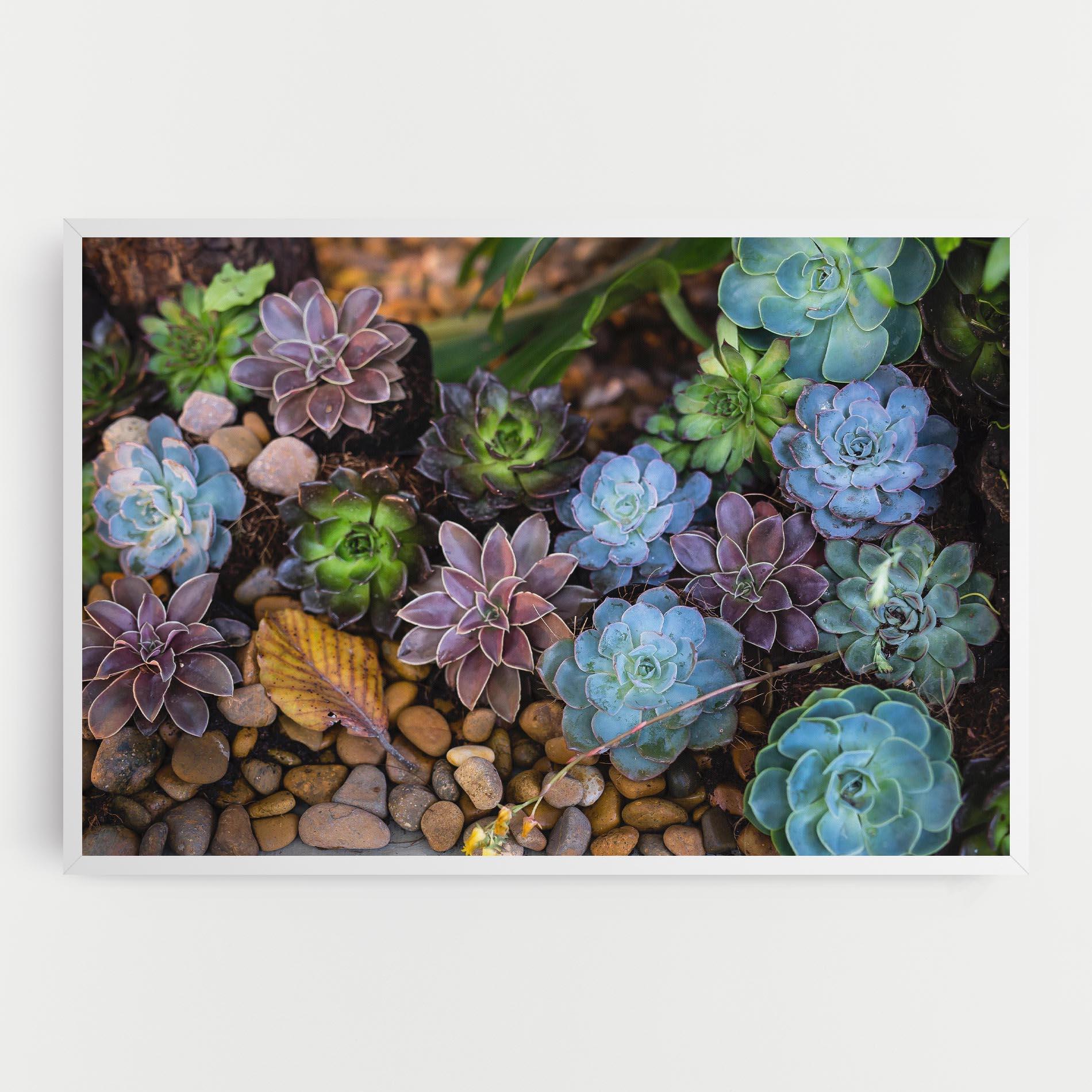 Vászonkép Colorful Flowers mockup 0