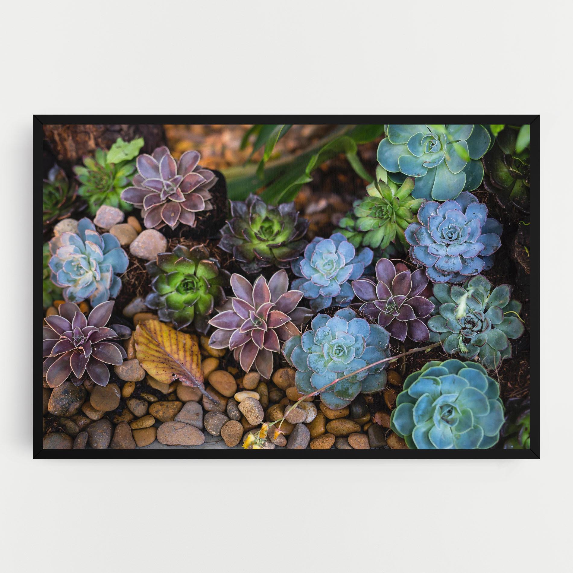 Vászonkép Colorful Flowers mockup 0