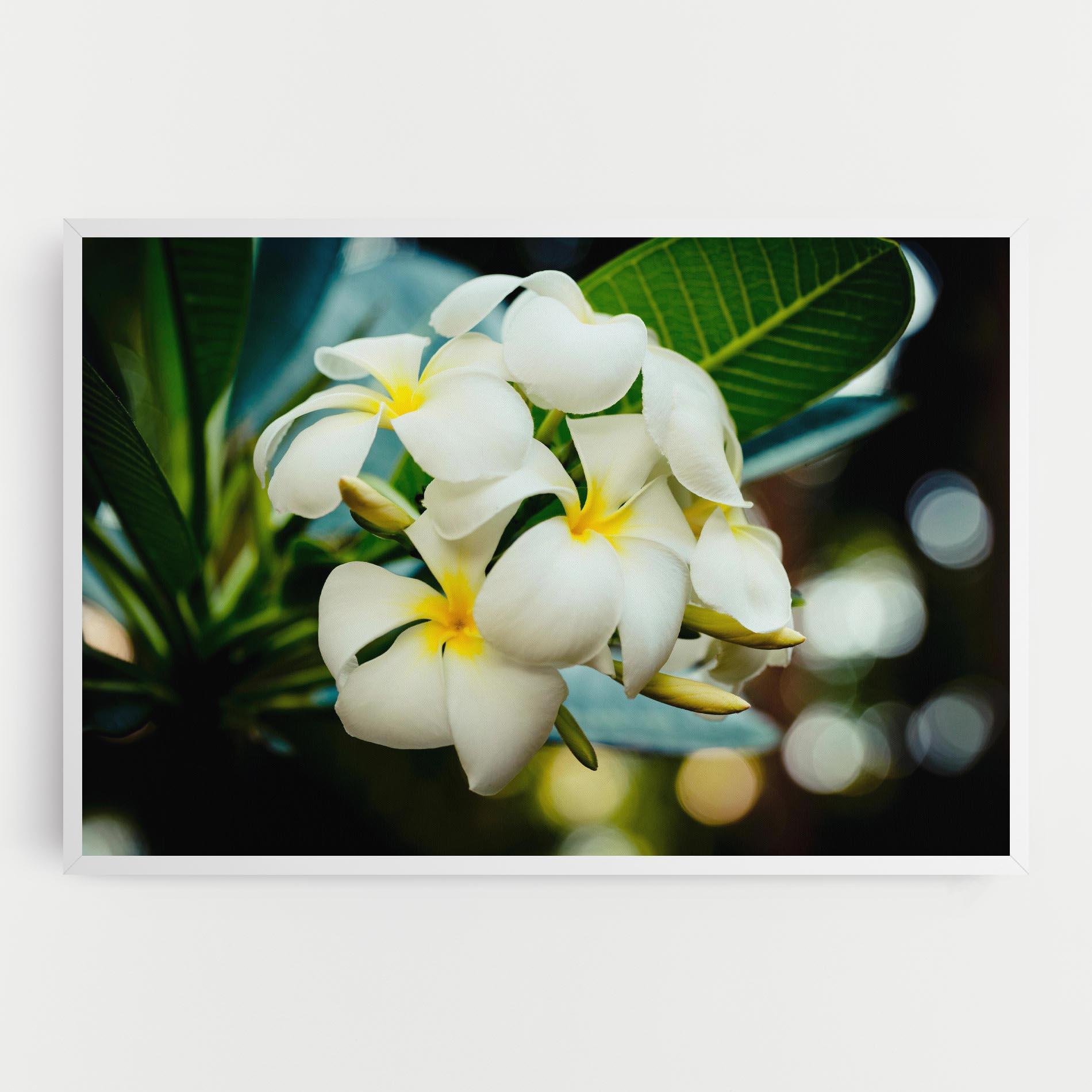 Vászonkép Beautiful White Exotic mockup 0