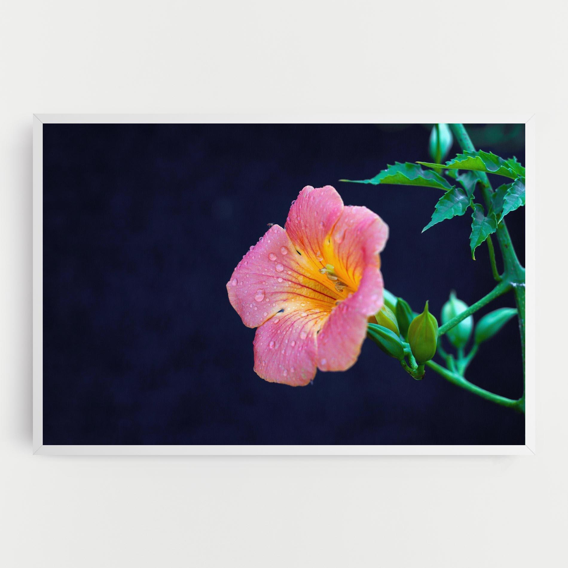 Vászonkép Exotic Pink Plant mockup 0