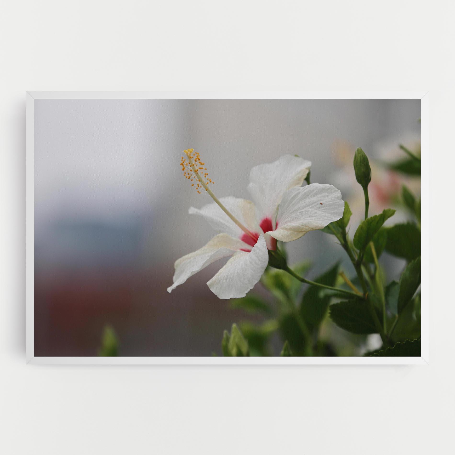 Vászonkép Exotic White Flower mockup 0