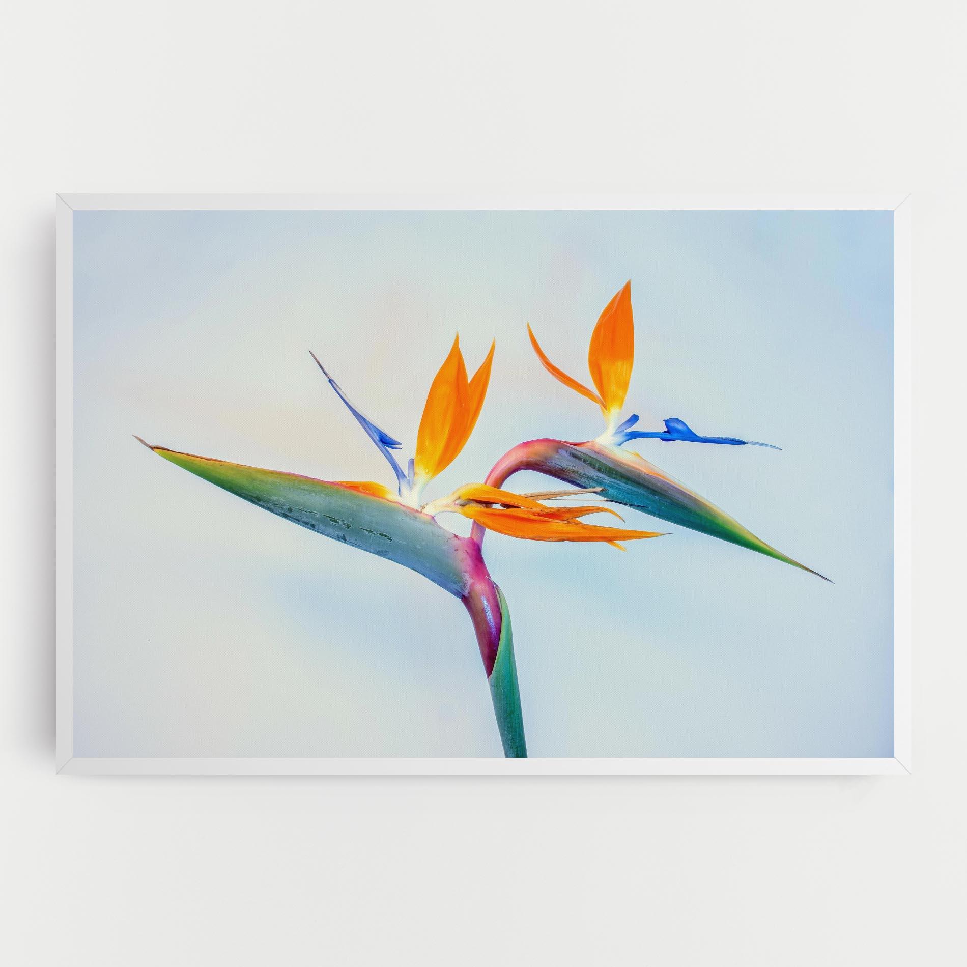 Vászonkép Green Orange Exotic mockup 0