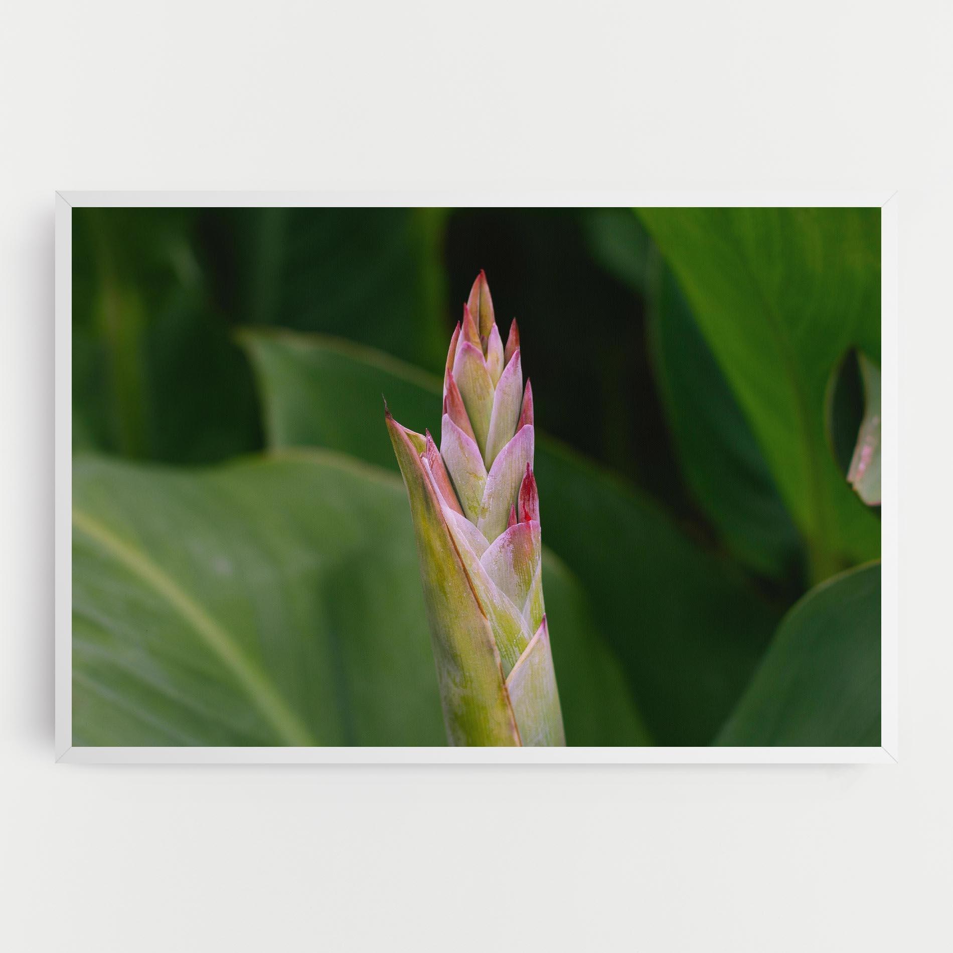 Vászonkép Light Pink Exotic mockup 0