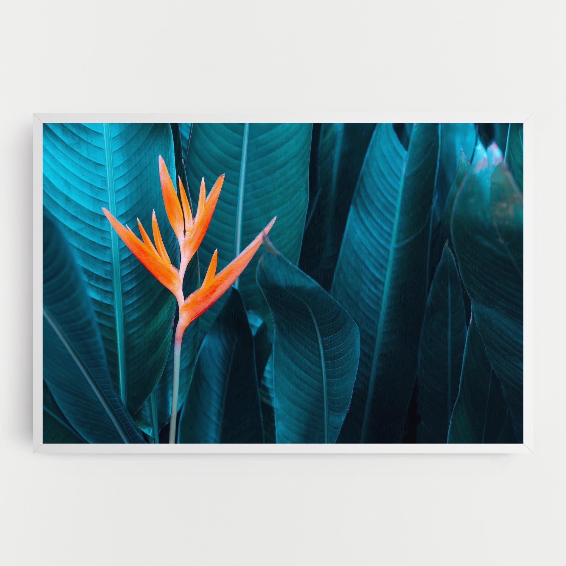 Vászonkép Orange Green Exotic mockup 0