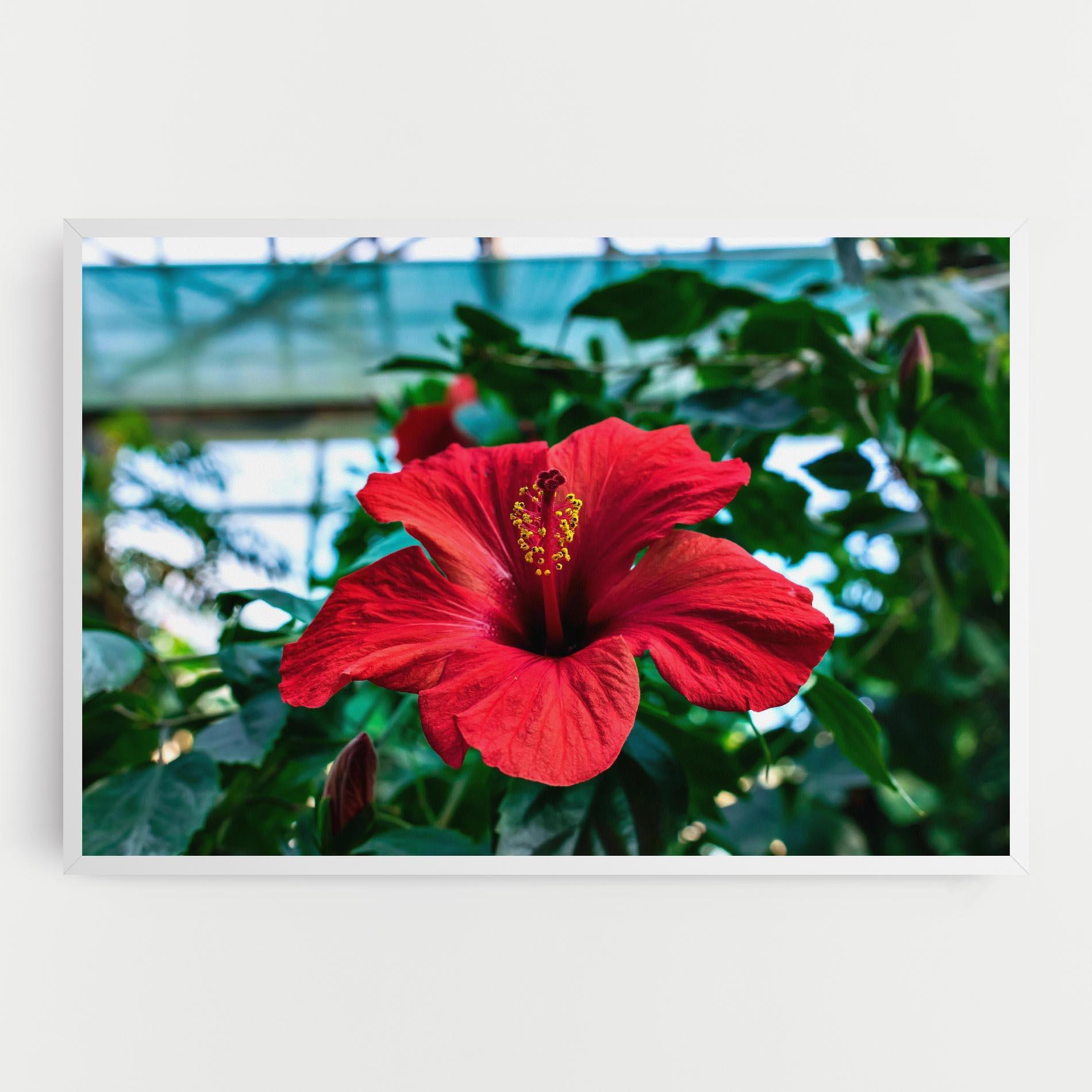 Vászonkép Red Exotic Plant mockup 0