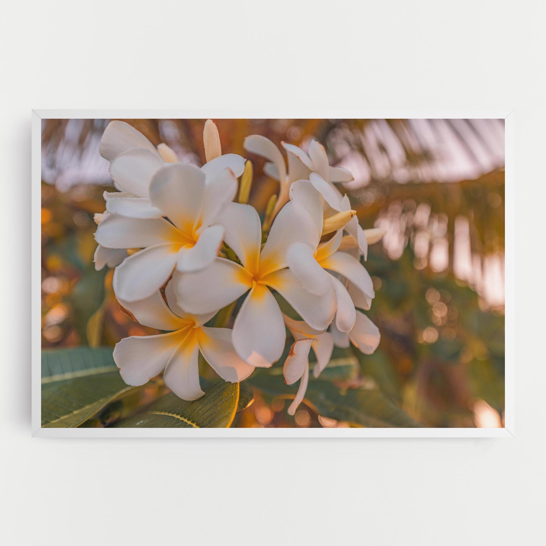 Vászonkép White Plumeria mockup 0