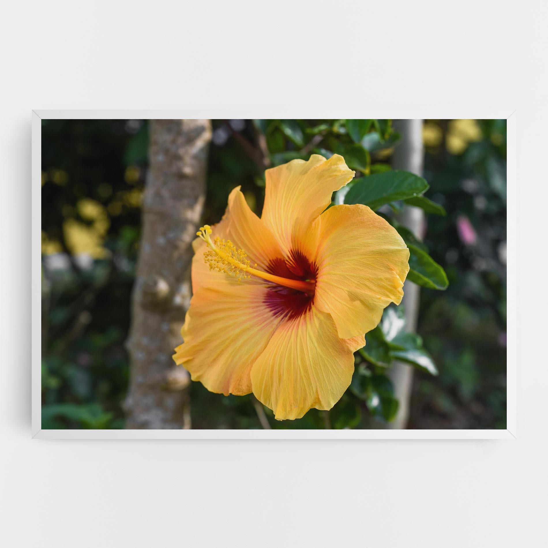 Vászonkép Yellow Hibiscus mockup 0