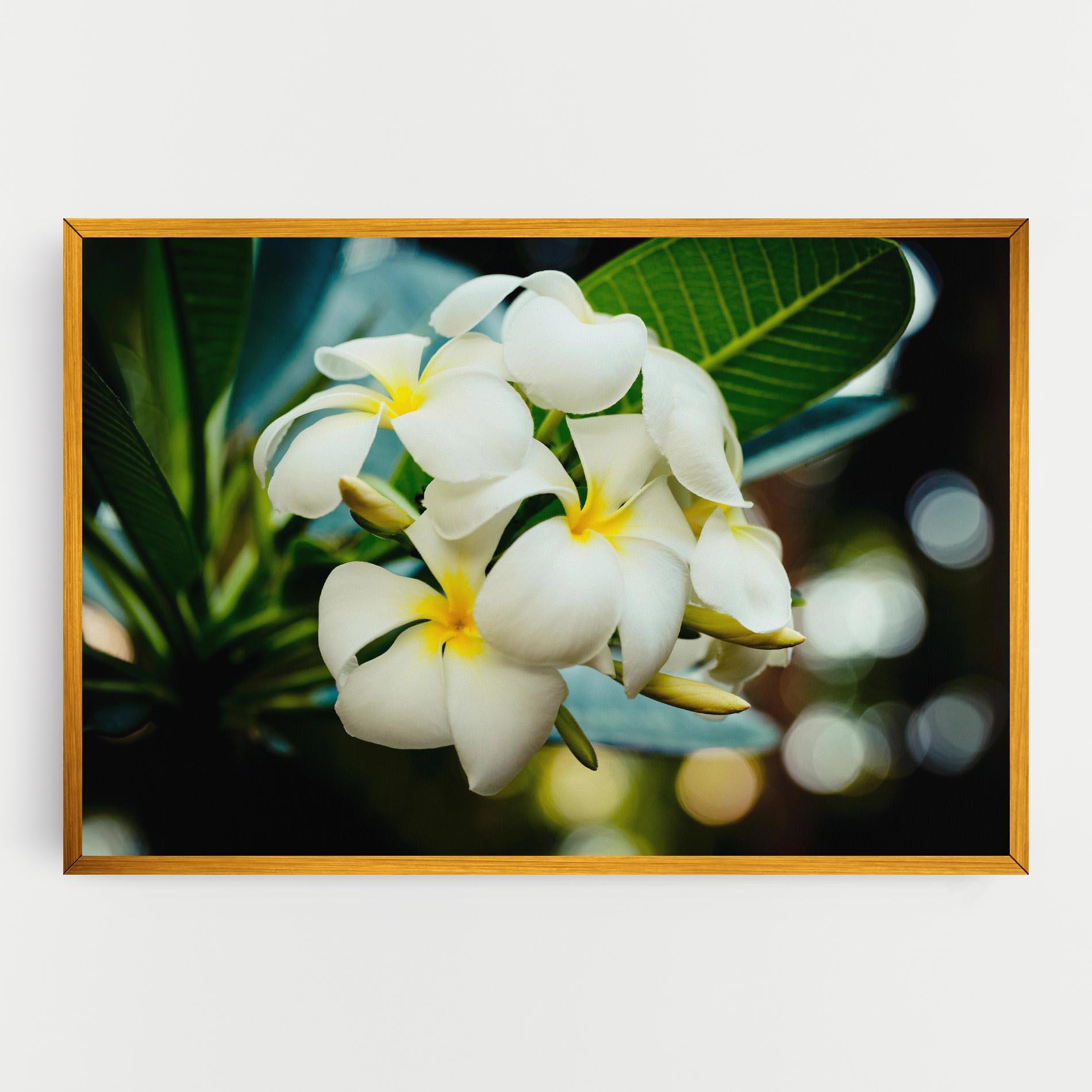 Vászonkép Beautiful White Exotic mockup 0