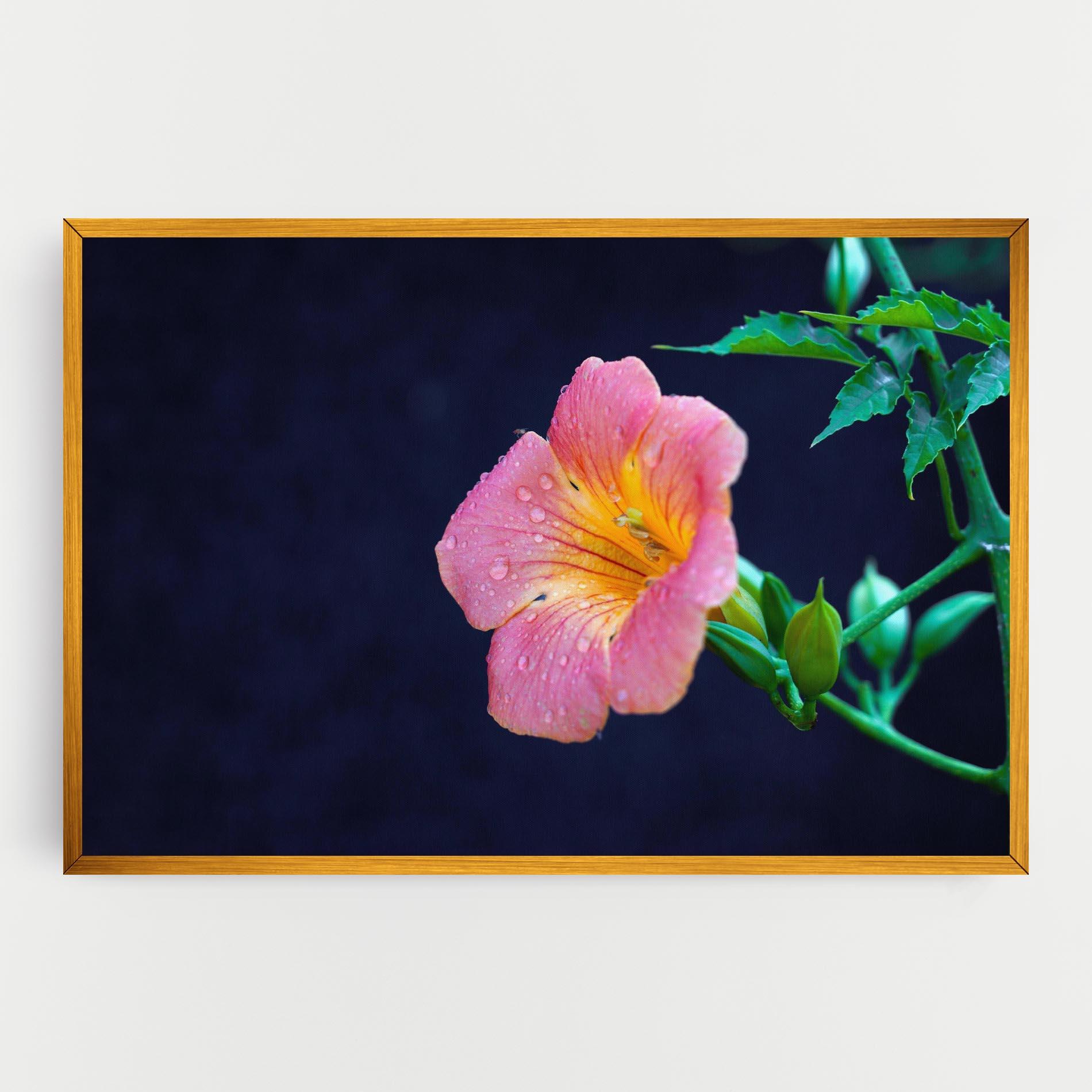 Vászonkép Exotic Pink Plant mockup 0