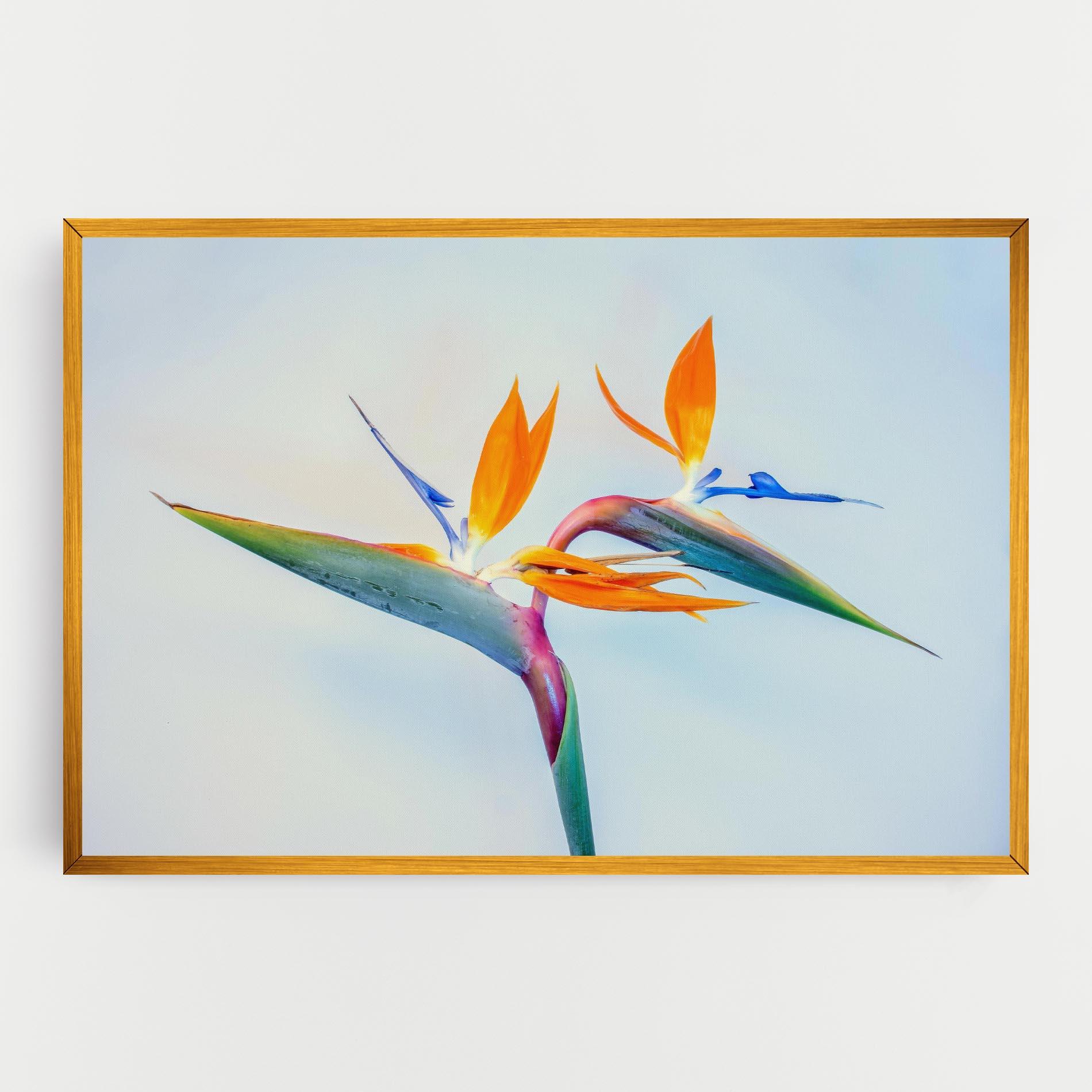 Vászonkép Green Orange Exotic mockup 0