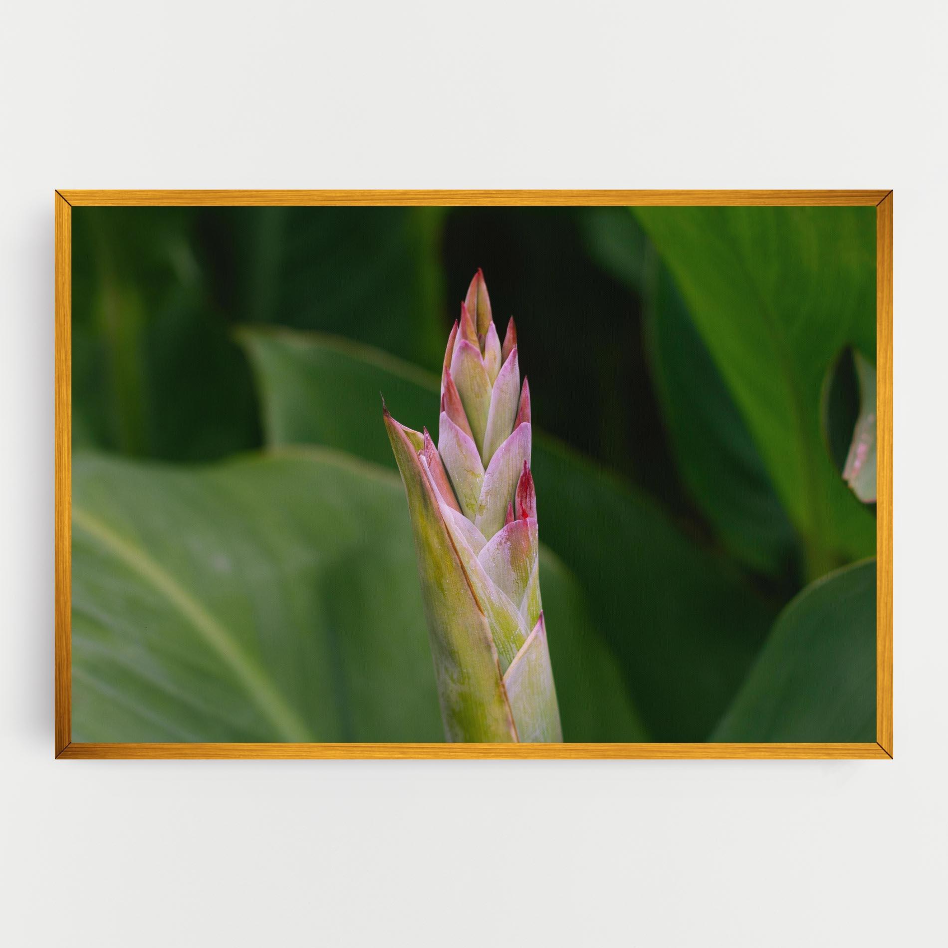 Vászonkép Light Pink Exotic mockup 0