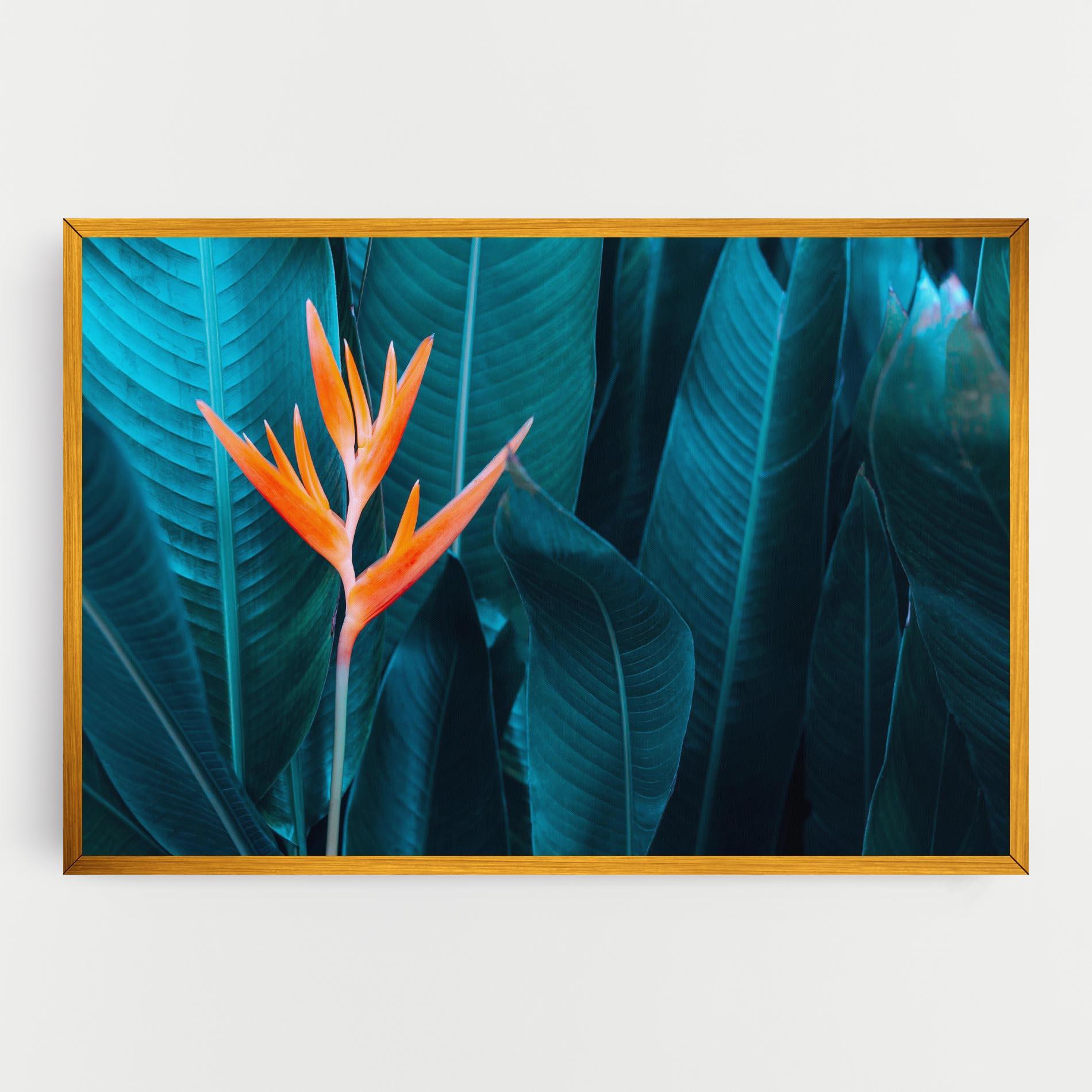 Vászonkép Orange Green Exotic mockup 0