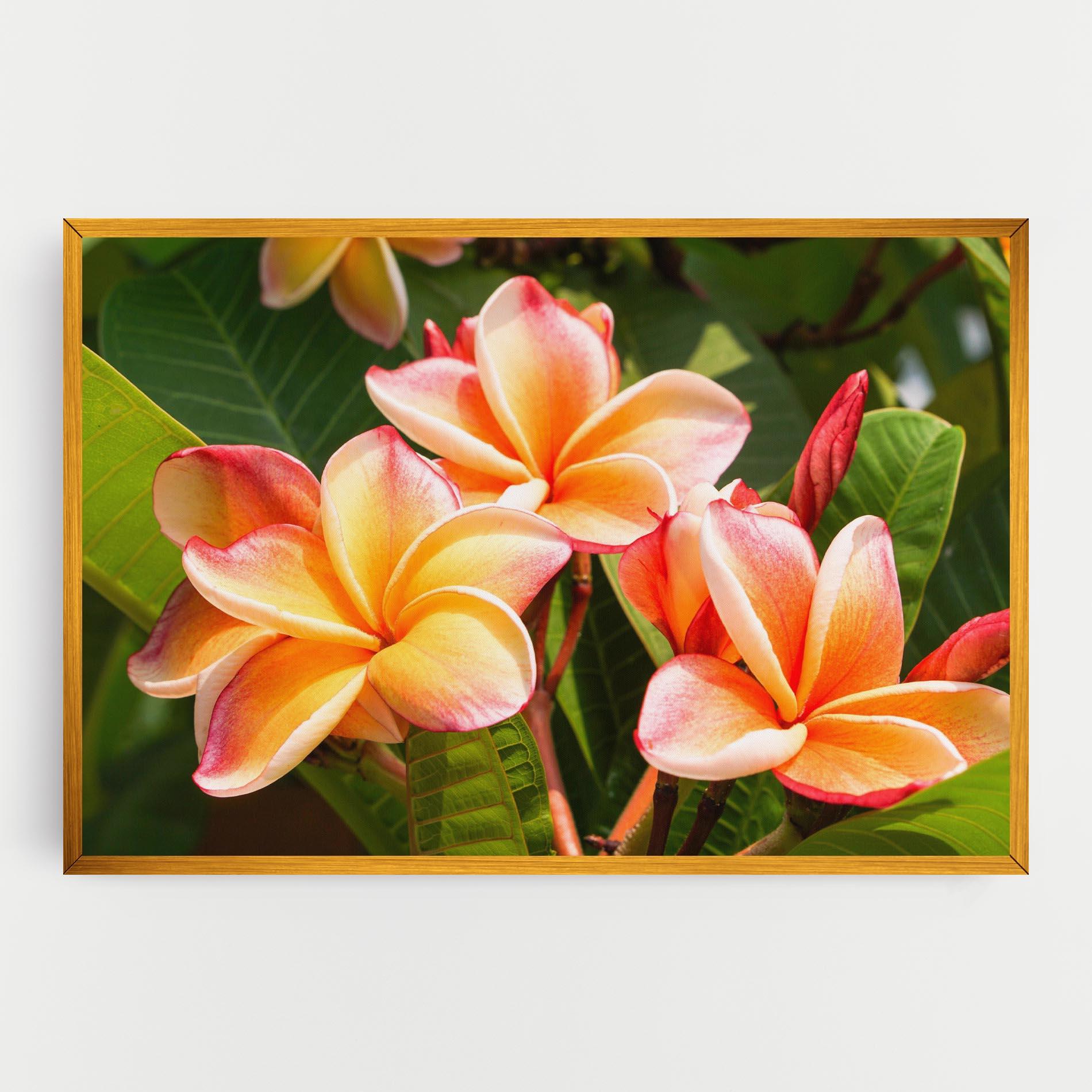Vászonkép Pretty Plumeria mockup 0