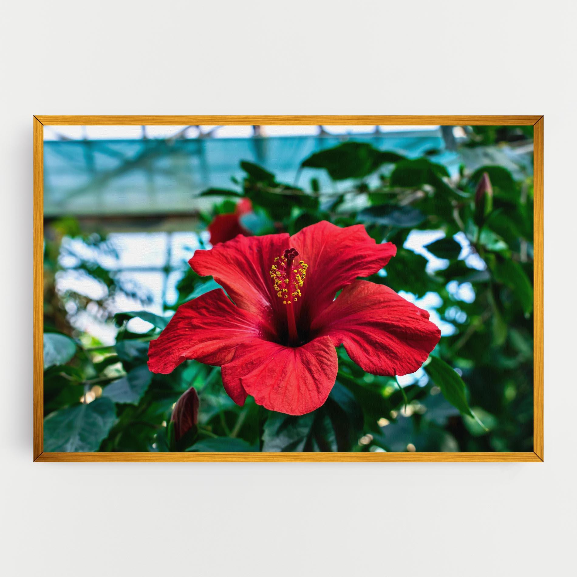 Vászonkép Red Exotic Plant mockup 0