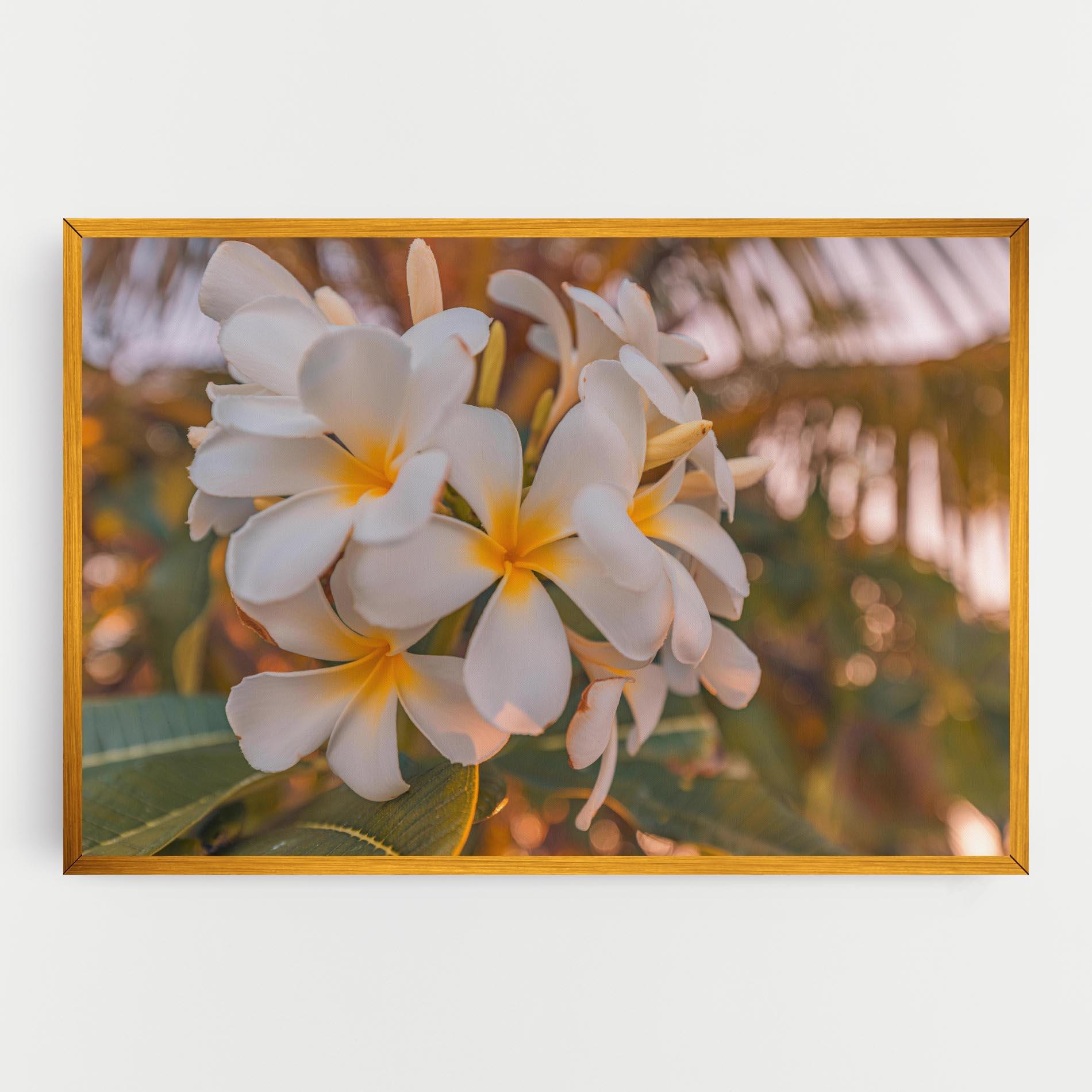 Vászonkép White Plumeria mockup 0