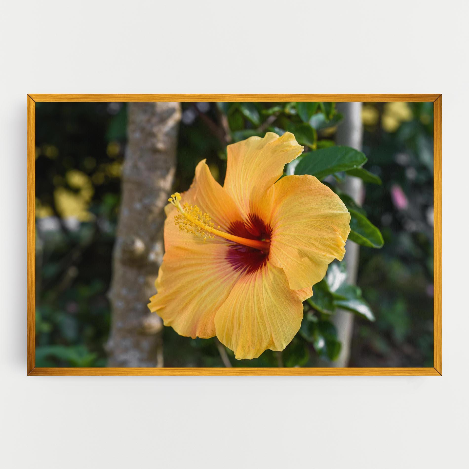 Vászonkép Yellow Hibiscus mockup 0
