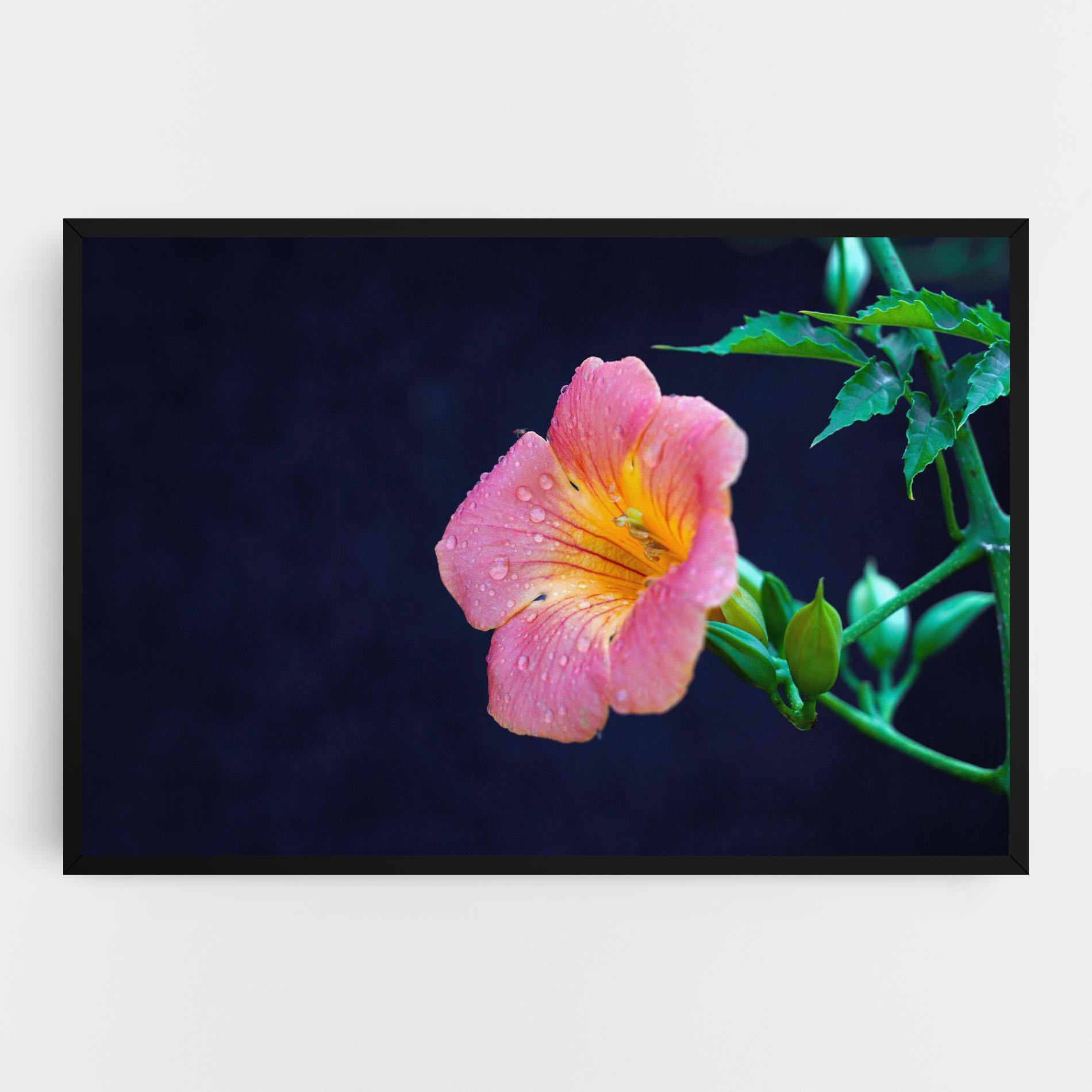 Vászonkép Exotic Pink Plant mockup 0