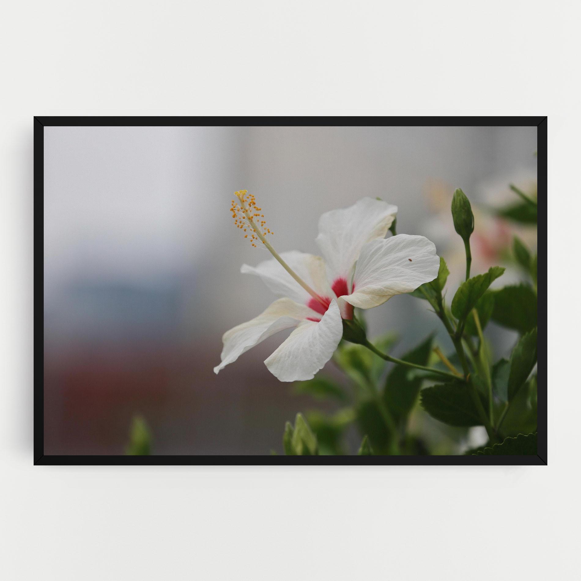 Vászonkép Exotic White Flower mockup 0