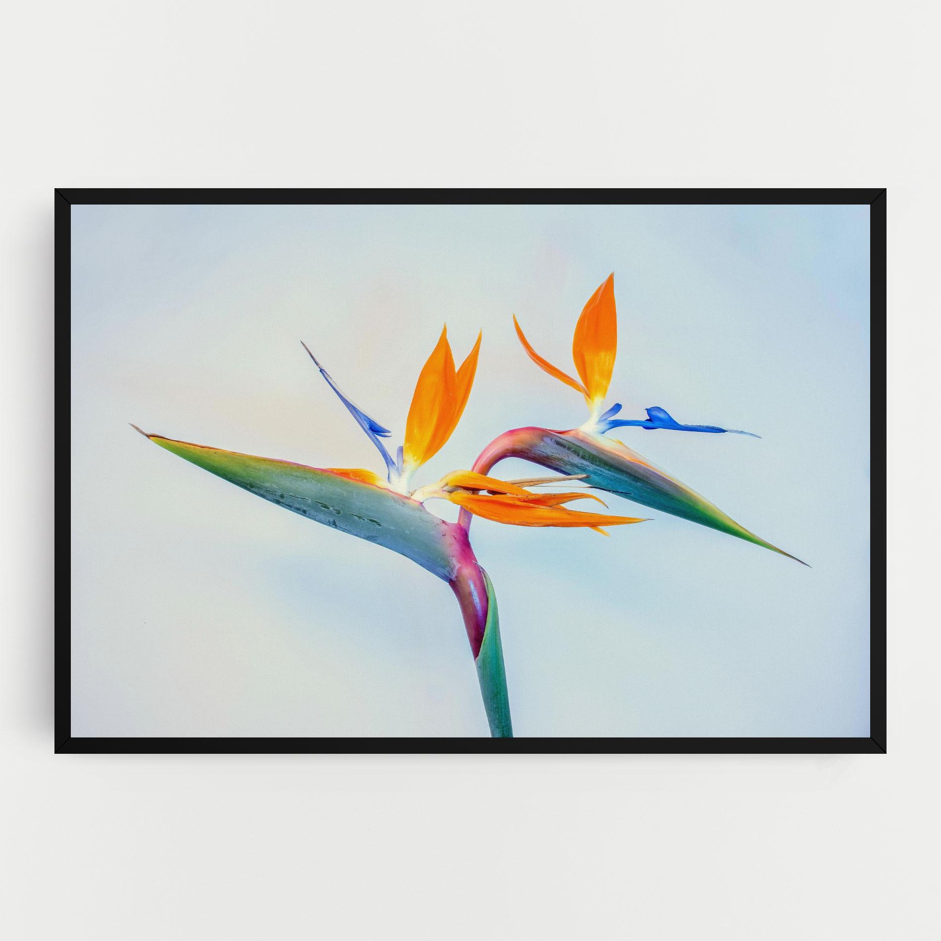 Vászonkép Green Orange Exotic mockup 0