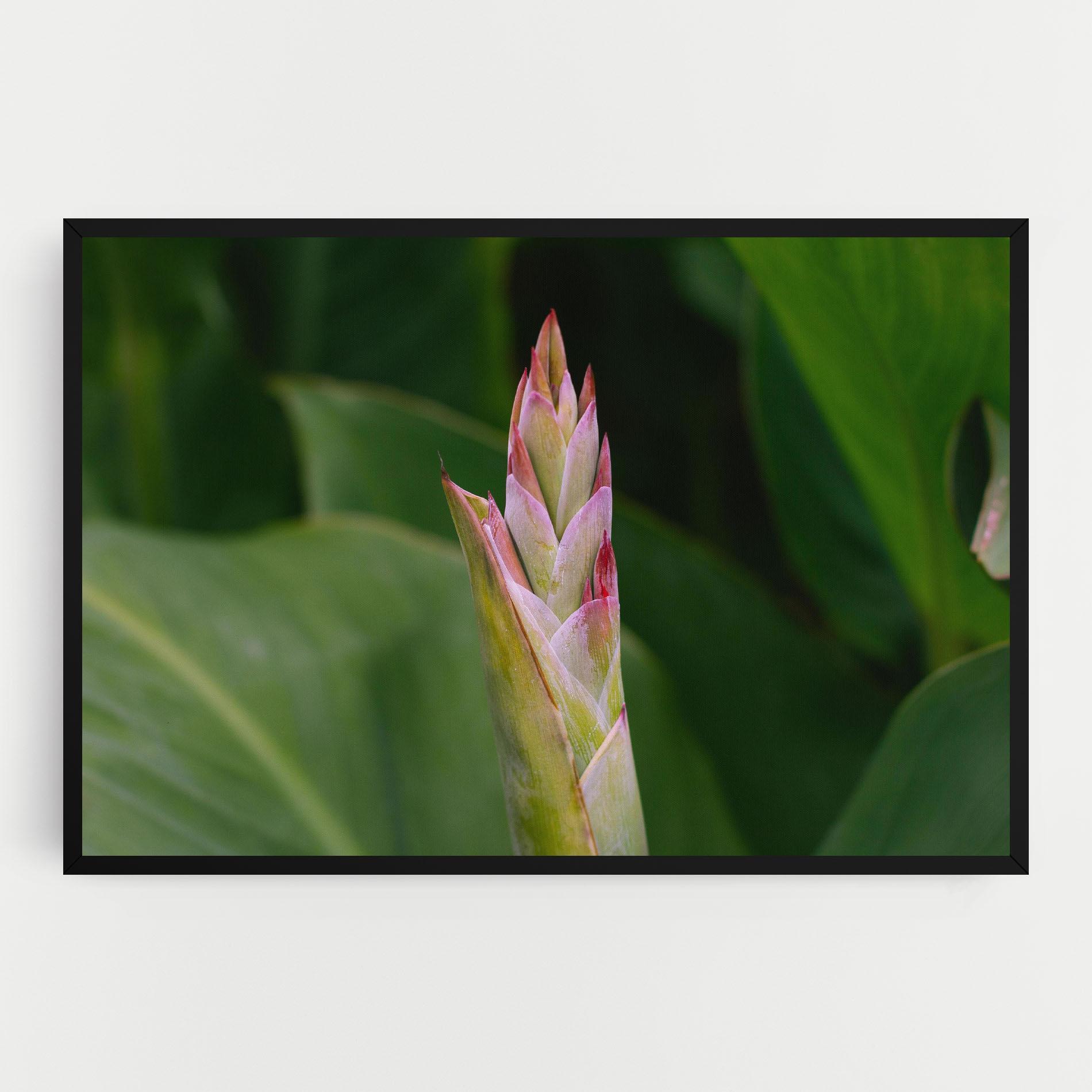 Vászonkép Light Pink Exotic mockup 0