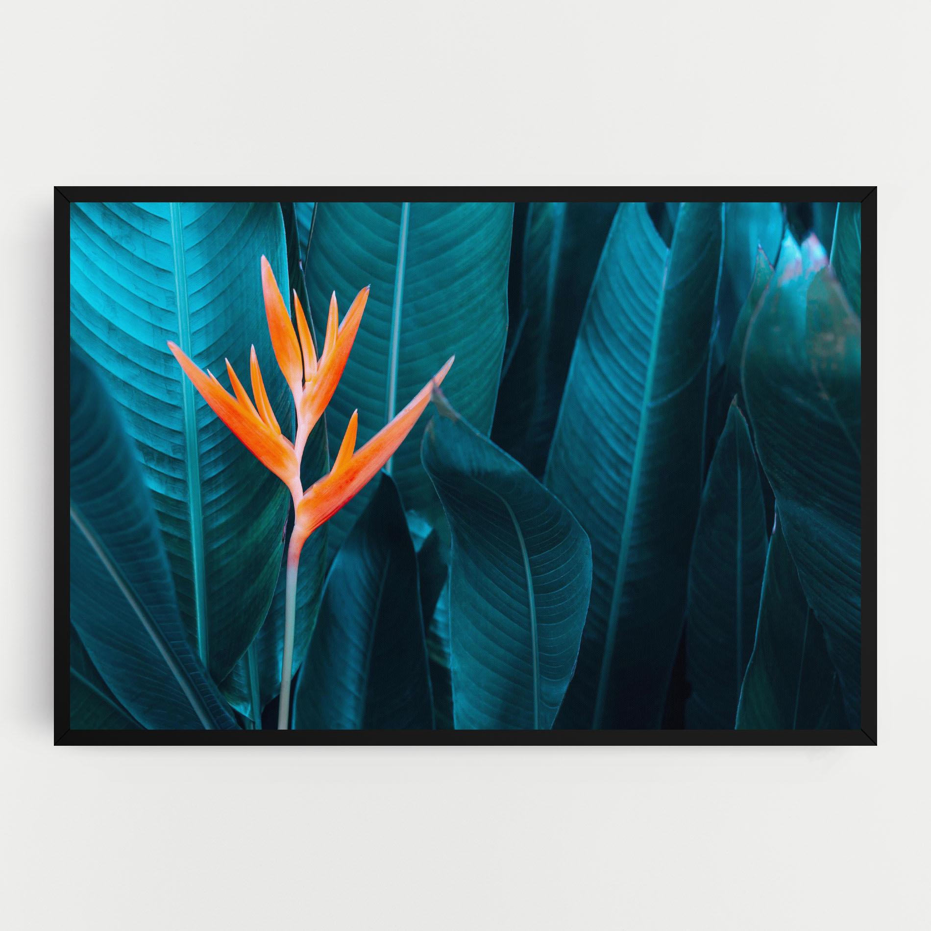Vászonkép Orange Green Exotic mockup 0