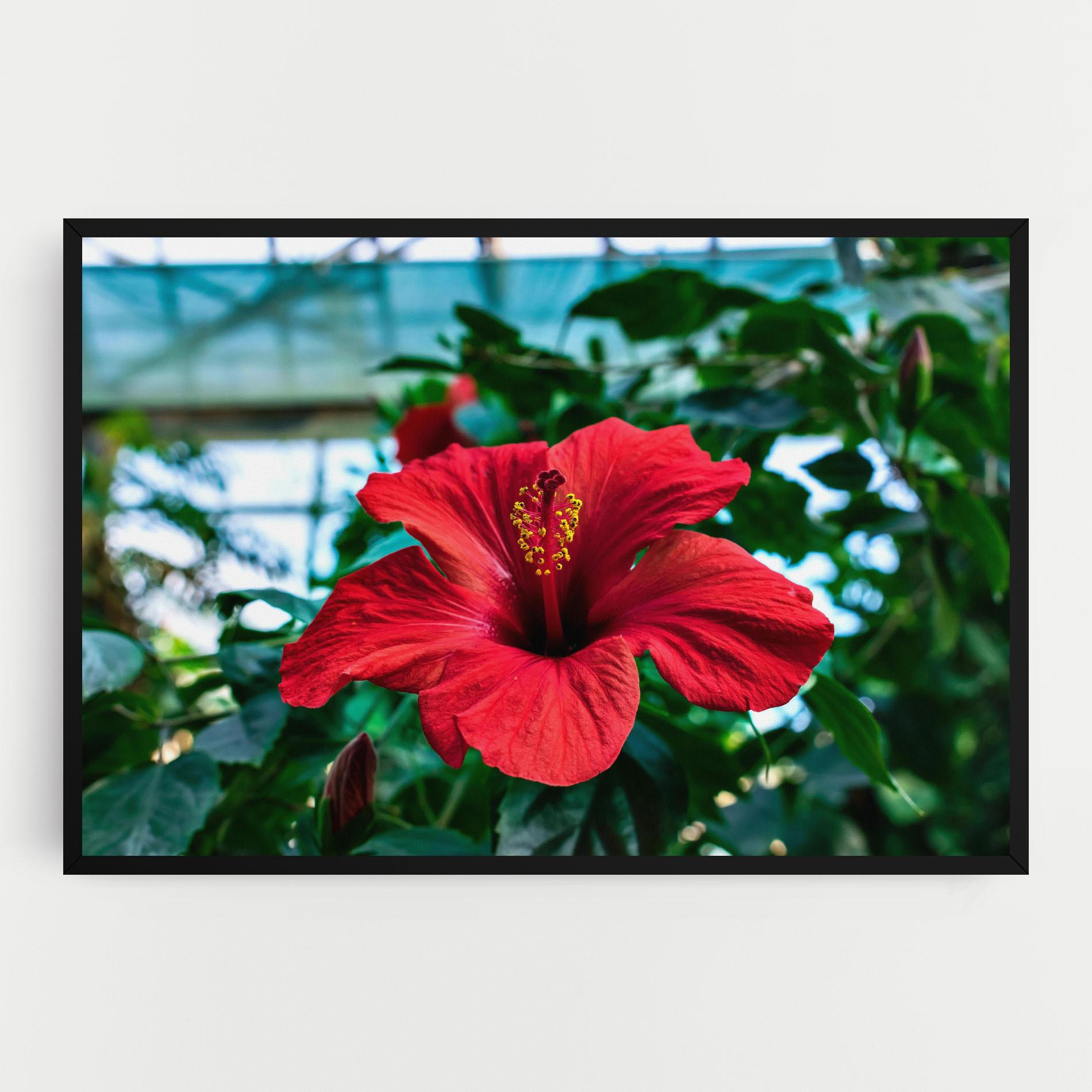 Vászonkép Red Exotic Plant mockup 0