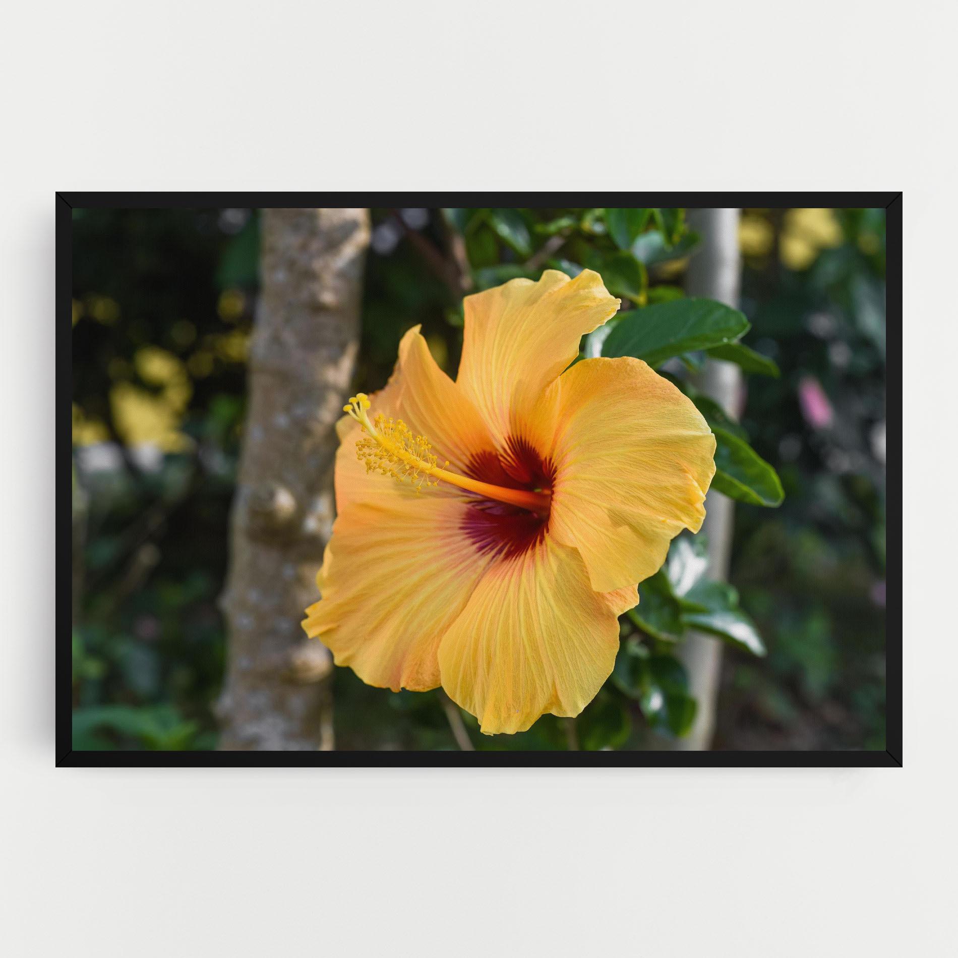 Vászonkép Yellow Hibiscus mockup 0