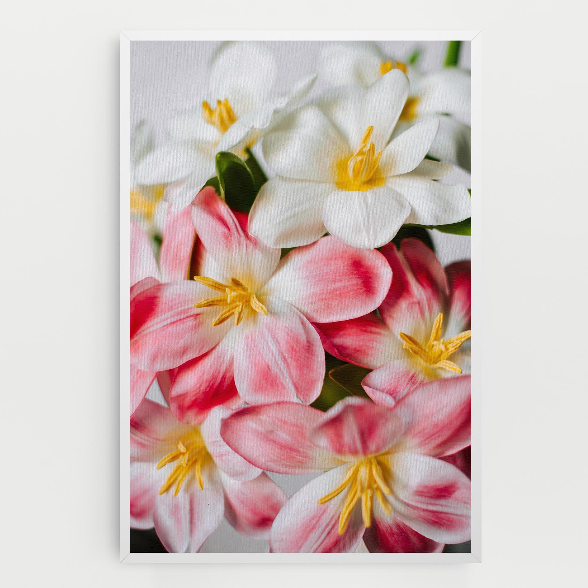 Vászonkép Beautiful Exotic Flower mockup 0