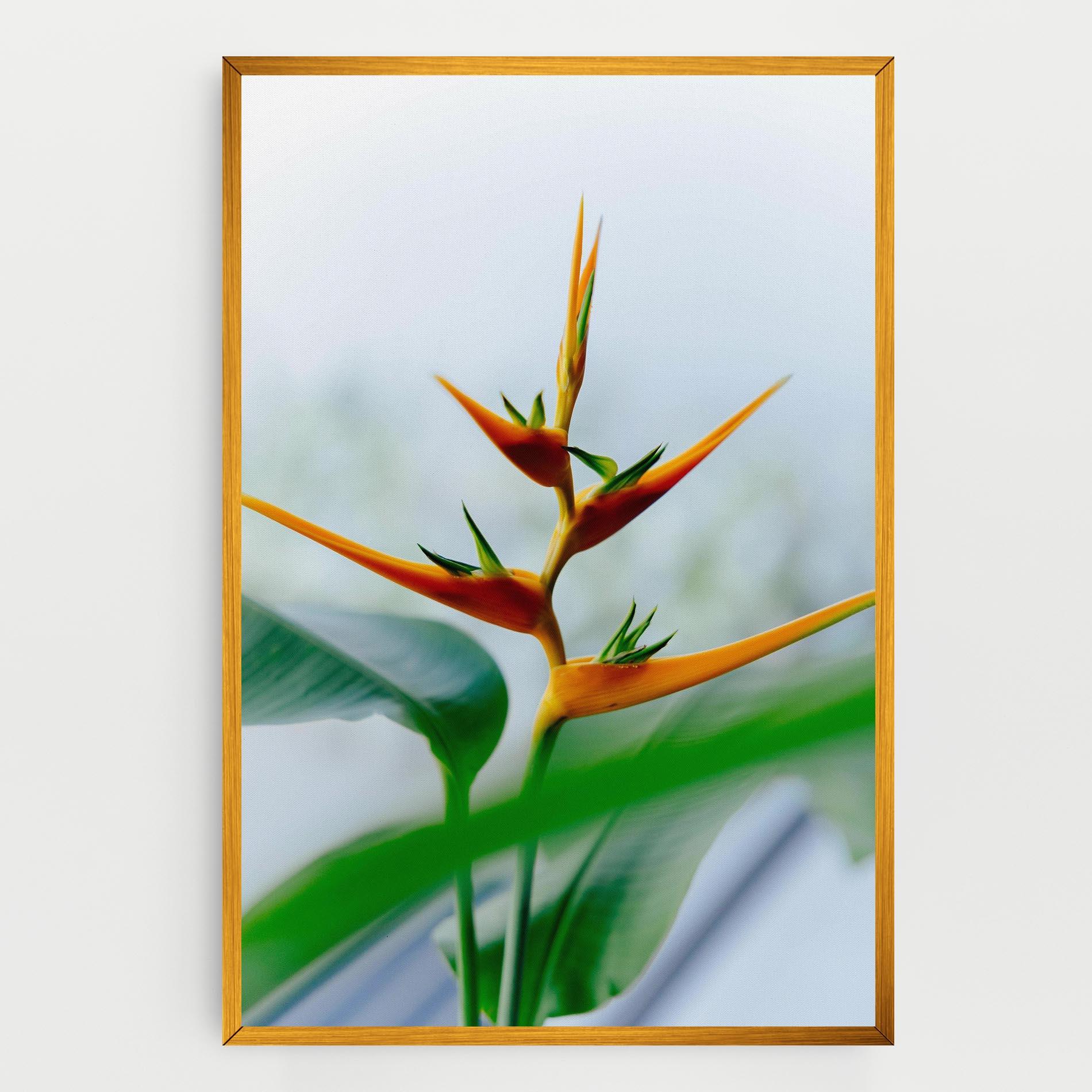 Vászonkép Exotic Orange Green mockup 0