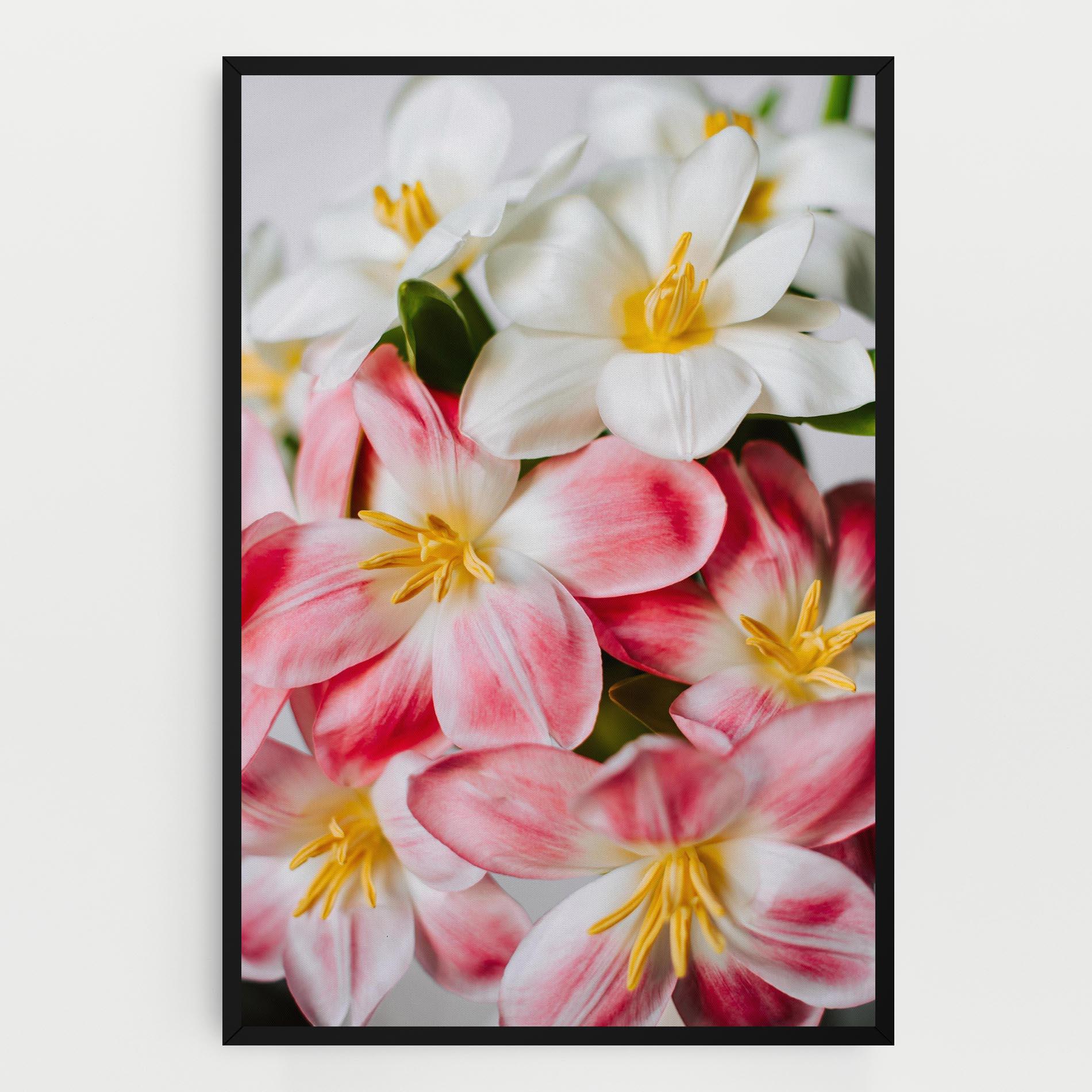 Vászonkép Beautiful Exotic Flower mockup 0