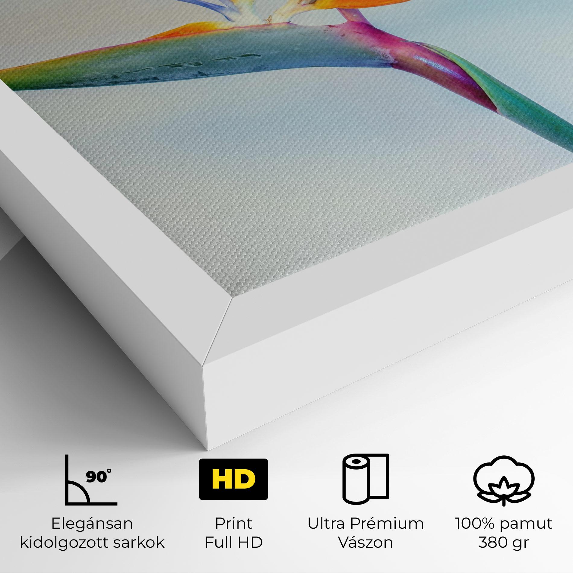 Vászonkép Green Orange Exotic mockup 4