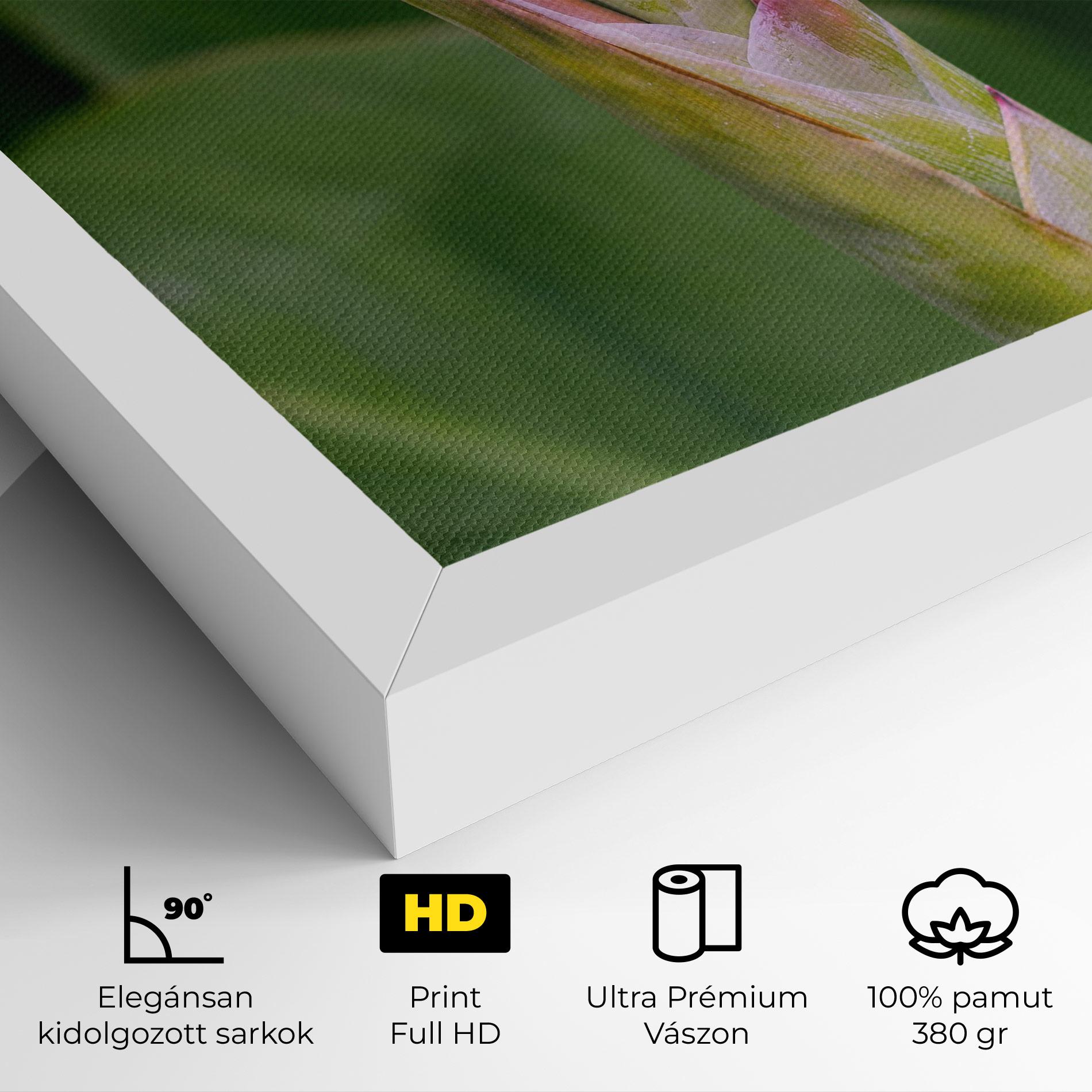 Vászonkép Light Pink Exotic mockup 4