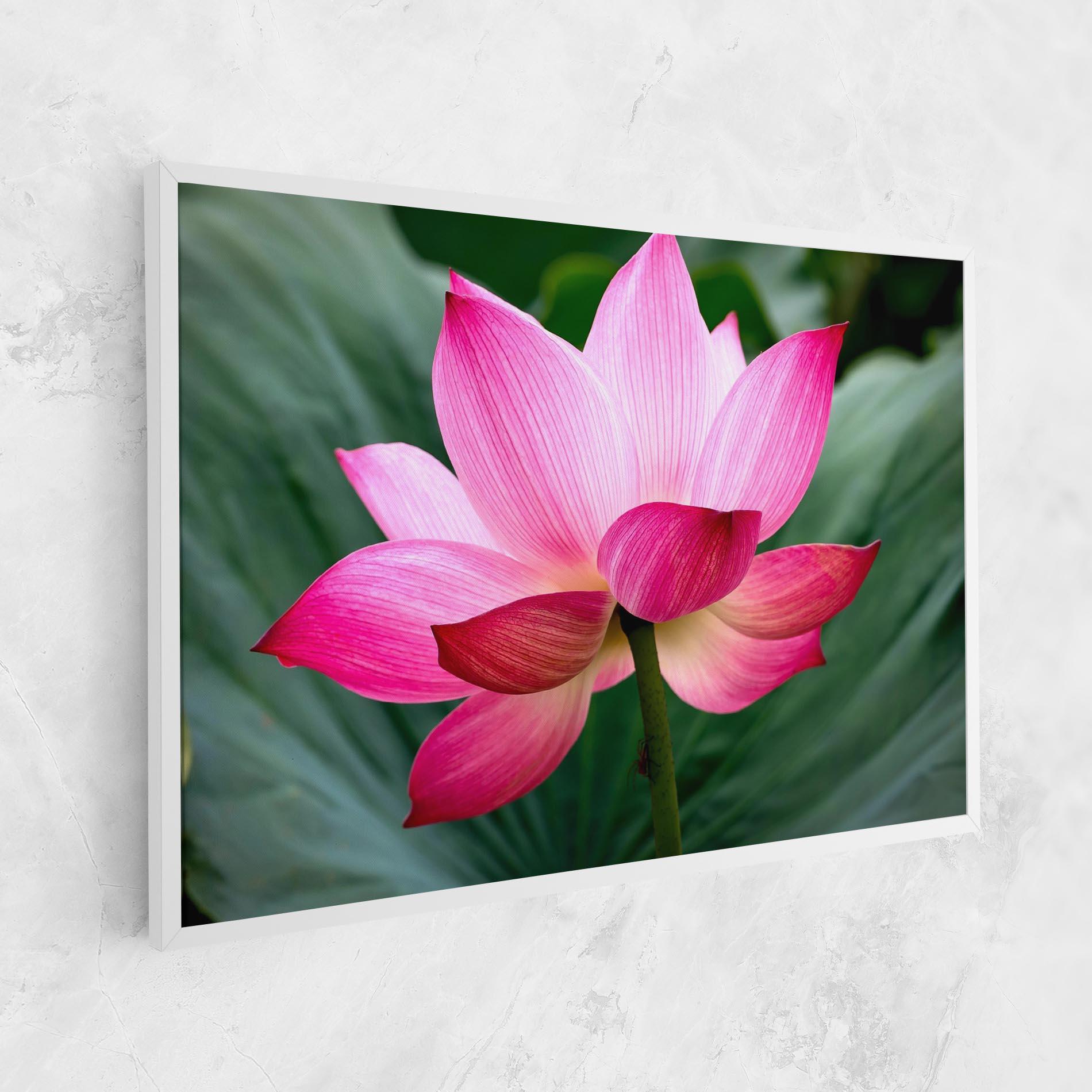 Vászonkép Beautiful Pink Exotic mockup 1