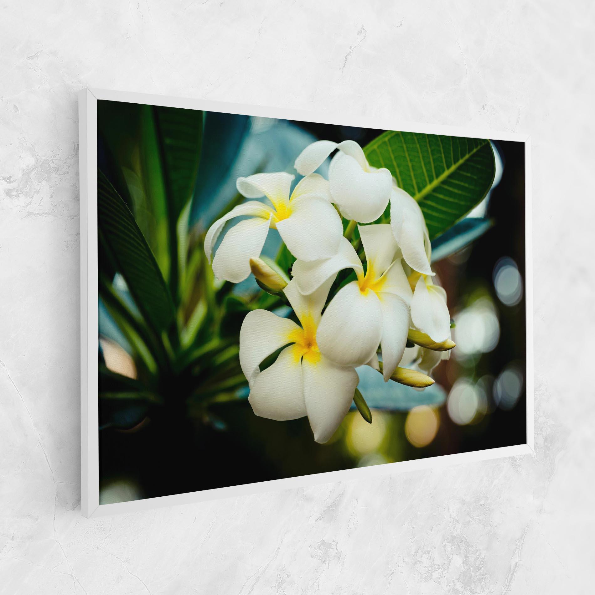 Vászonkép Beautiful White Exotic mockup 1