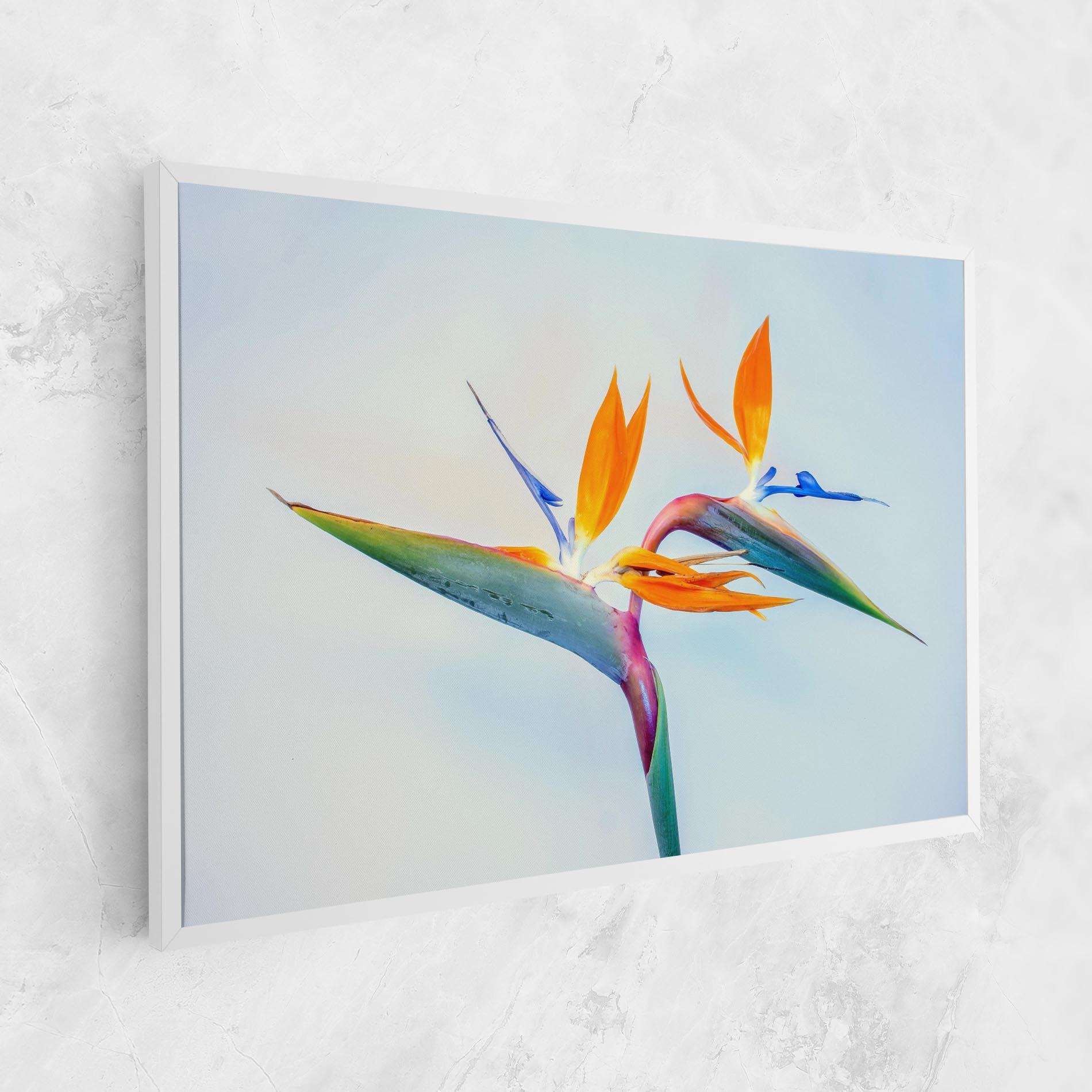 Vászonkép Green Orange Exotic mockup 1