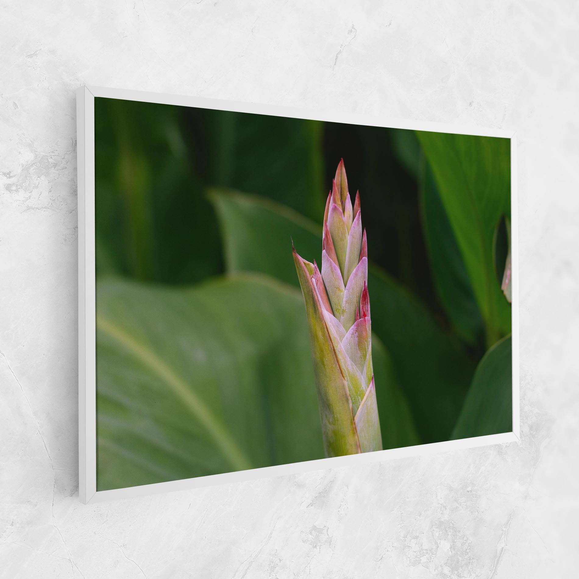 Vászonkép Light Pink Exotic mockup 1