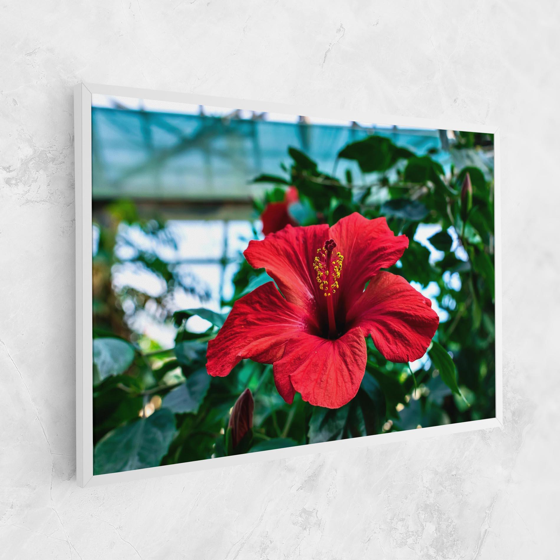 Vászonkép Red Exotic Plant mockup 1