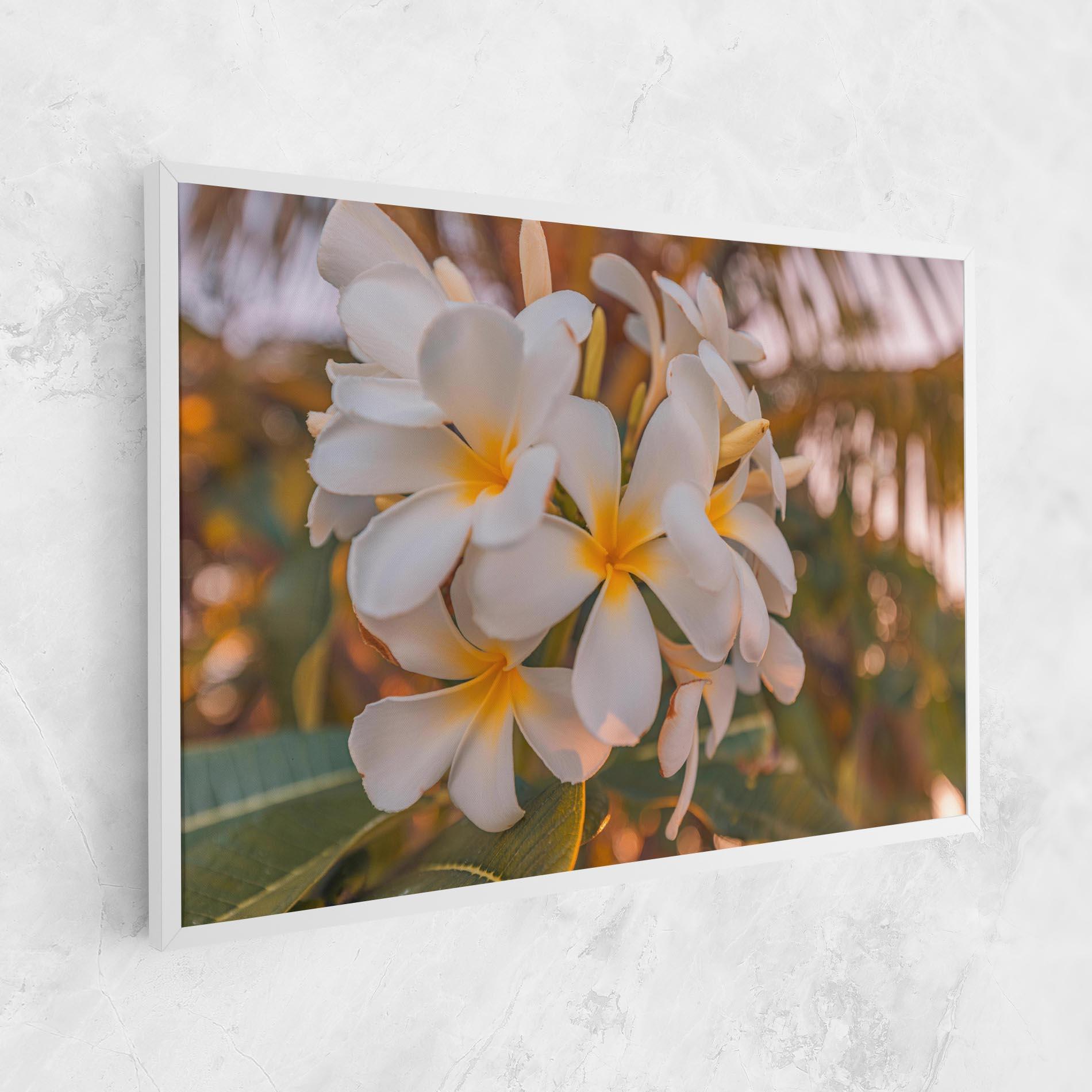 Vászonkép White Plumeria mockup 1