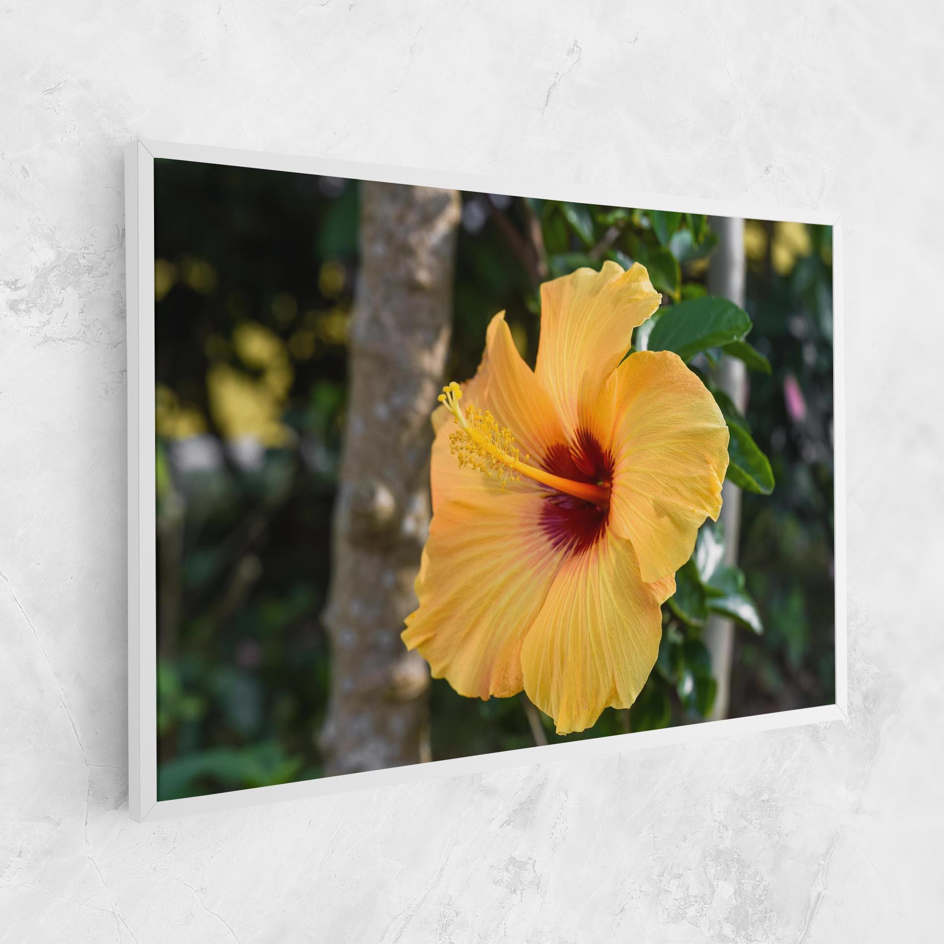 Vászonkép Yellow Hibiscus mockup 1
