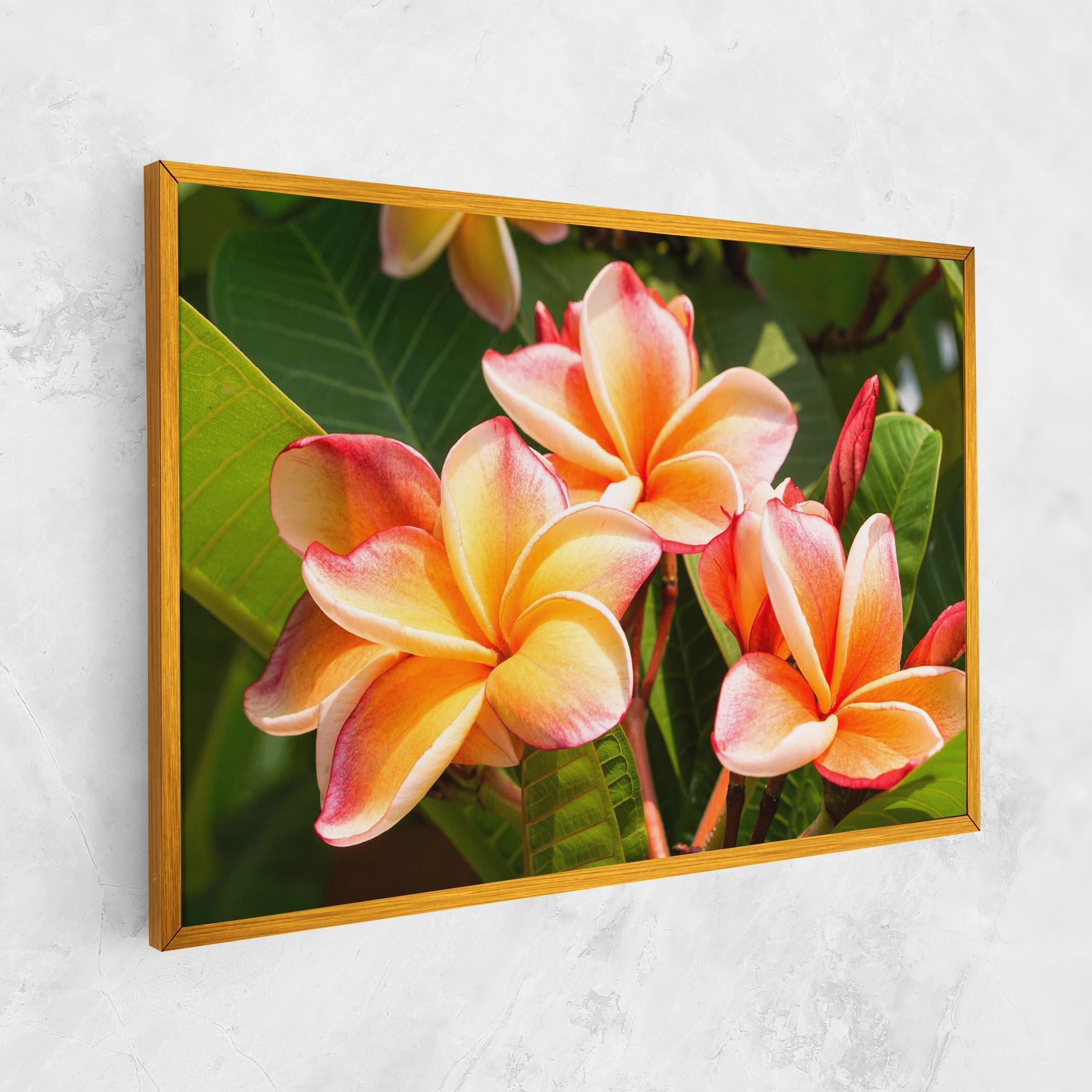 Vászonkép Pretty Plumeria mockup 1