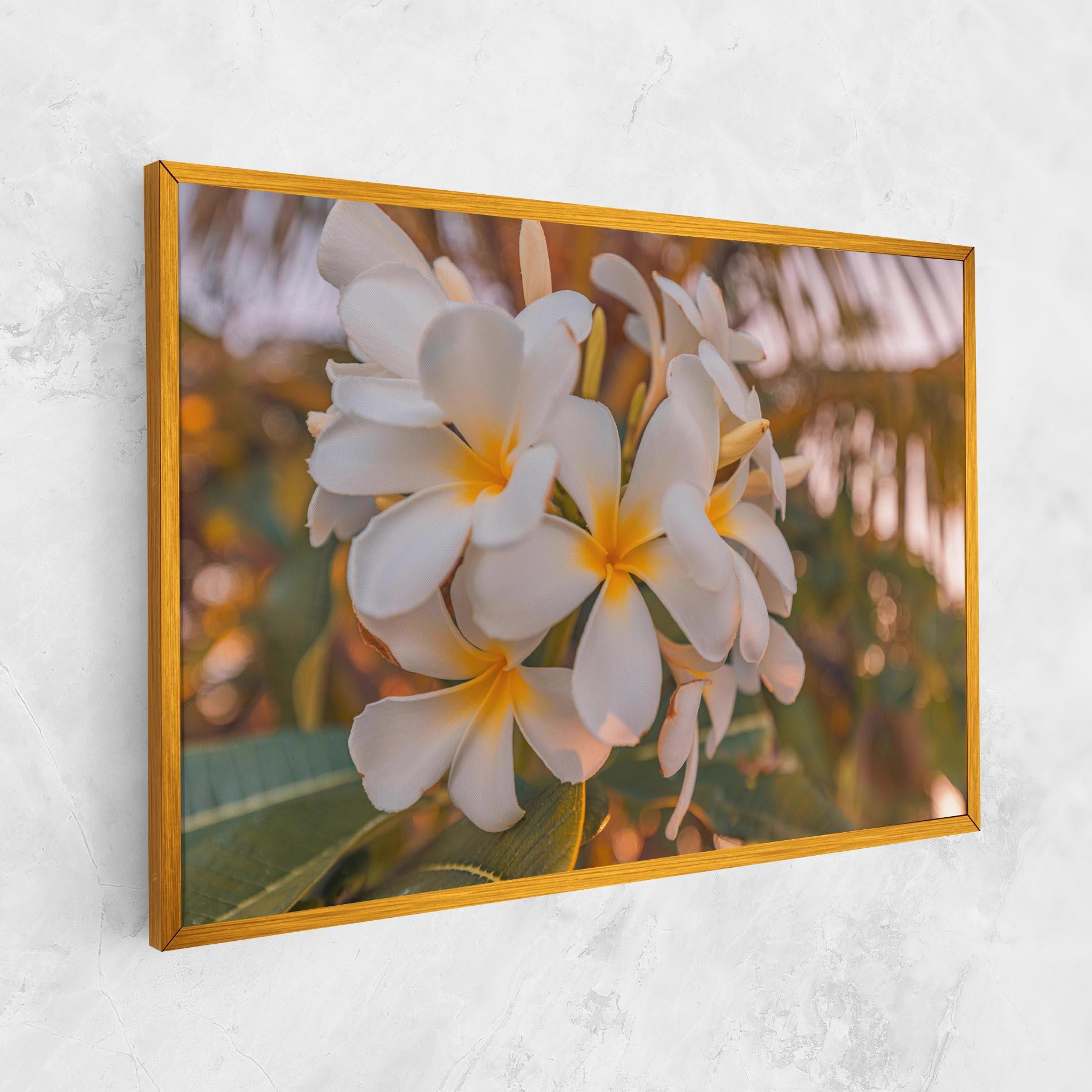 Vászonkép White Plumeria mockup 1