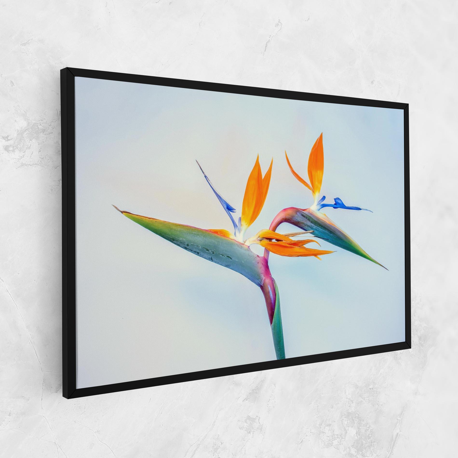 Vászonkép Green Orange Exotic mockup 1