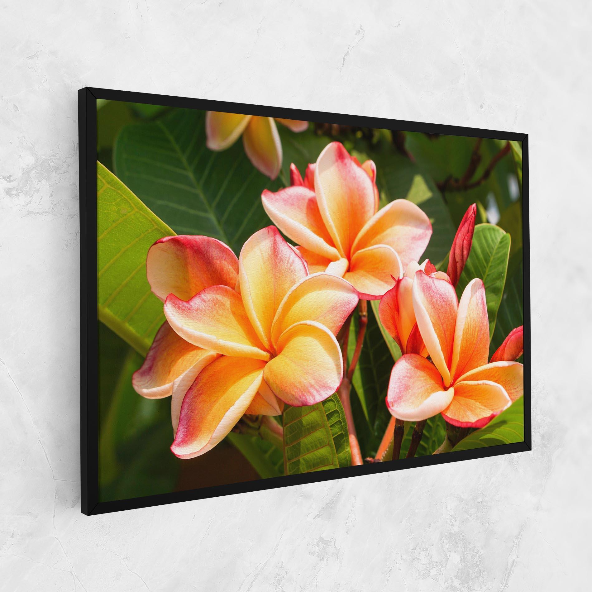 Vászonkép Pretty Plumeria mockup 1
