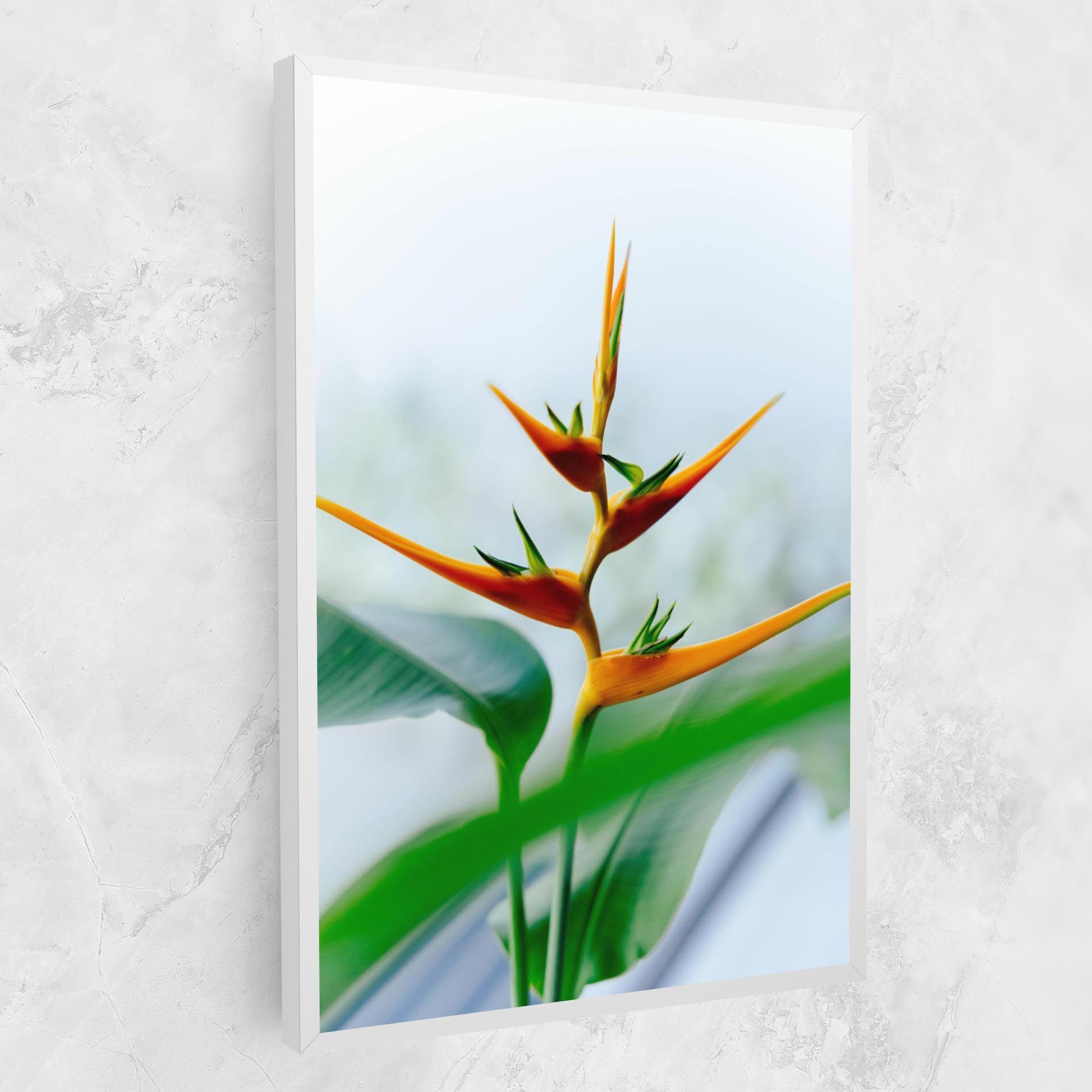 Exotic Orange Green mockup 1