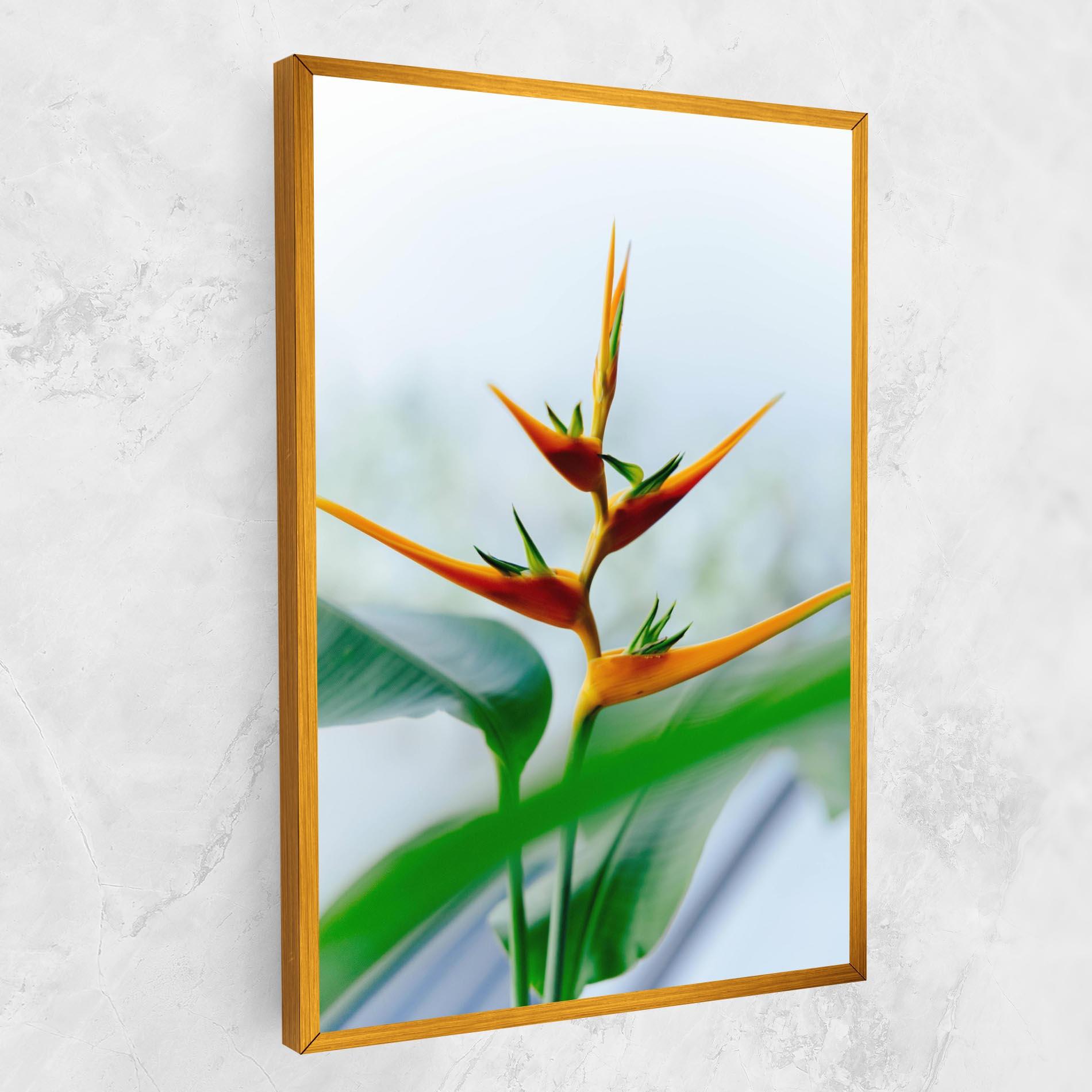 Vászonkép Exotic Orange Green mockup 1