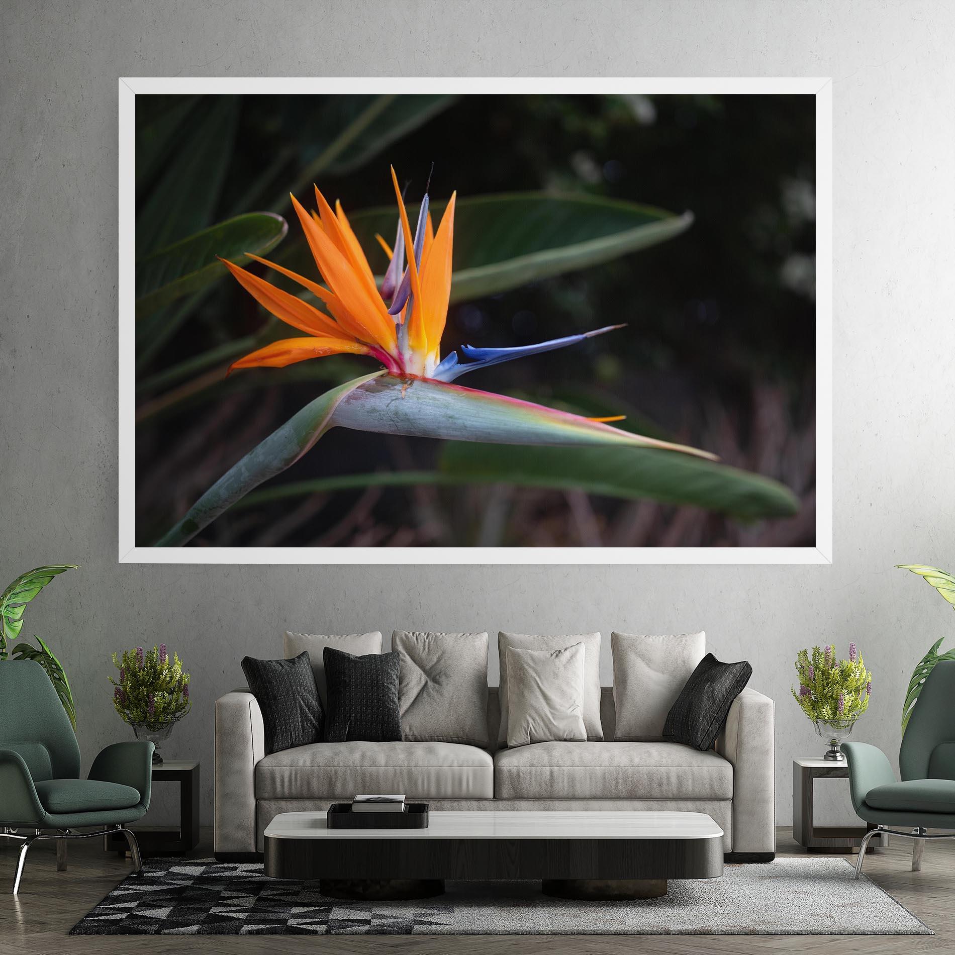 Vászonkép Paradise Plant mockup 7