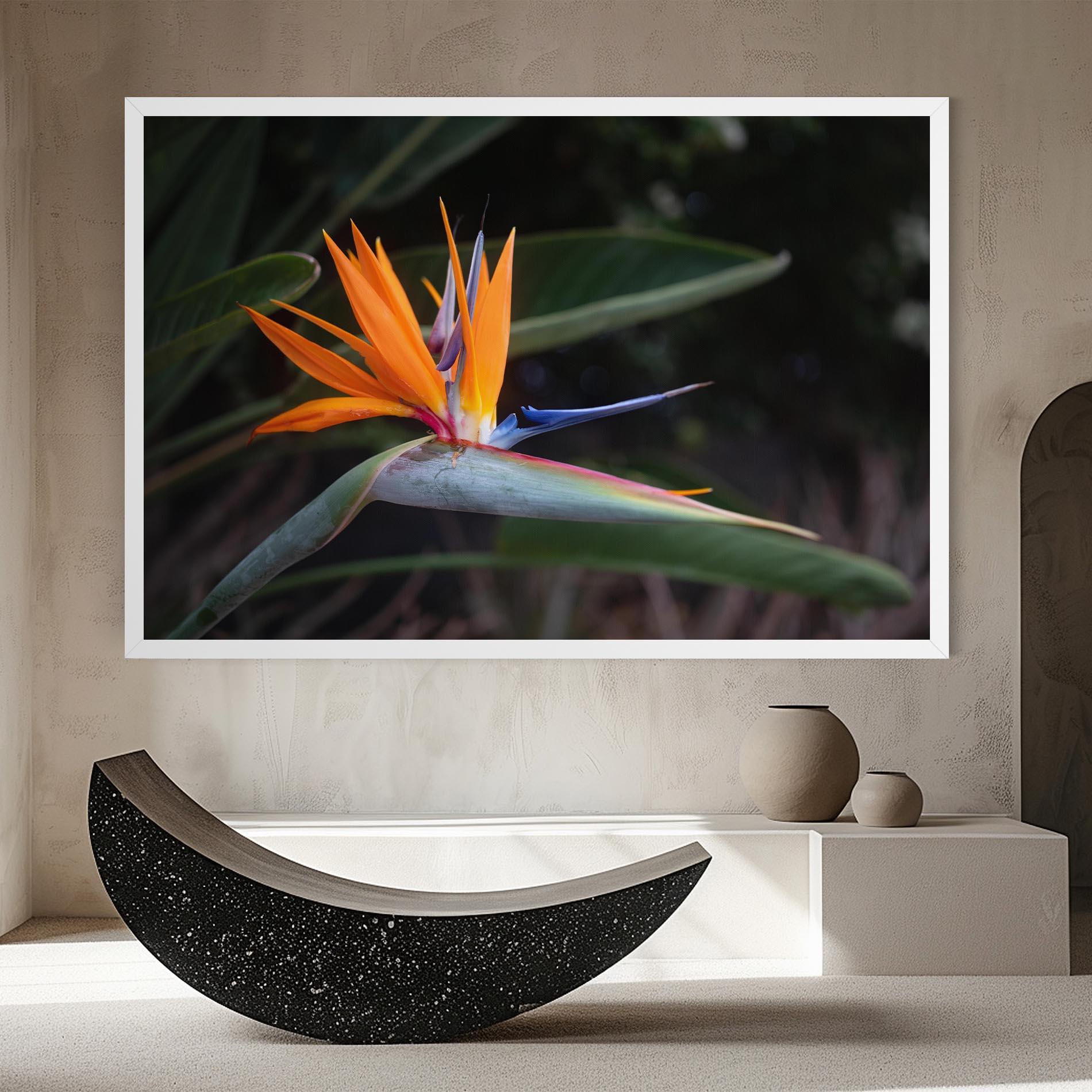 Vászonkép Paradise Plant mockup 8