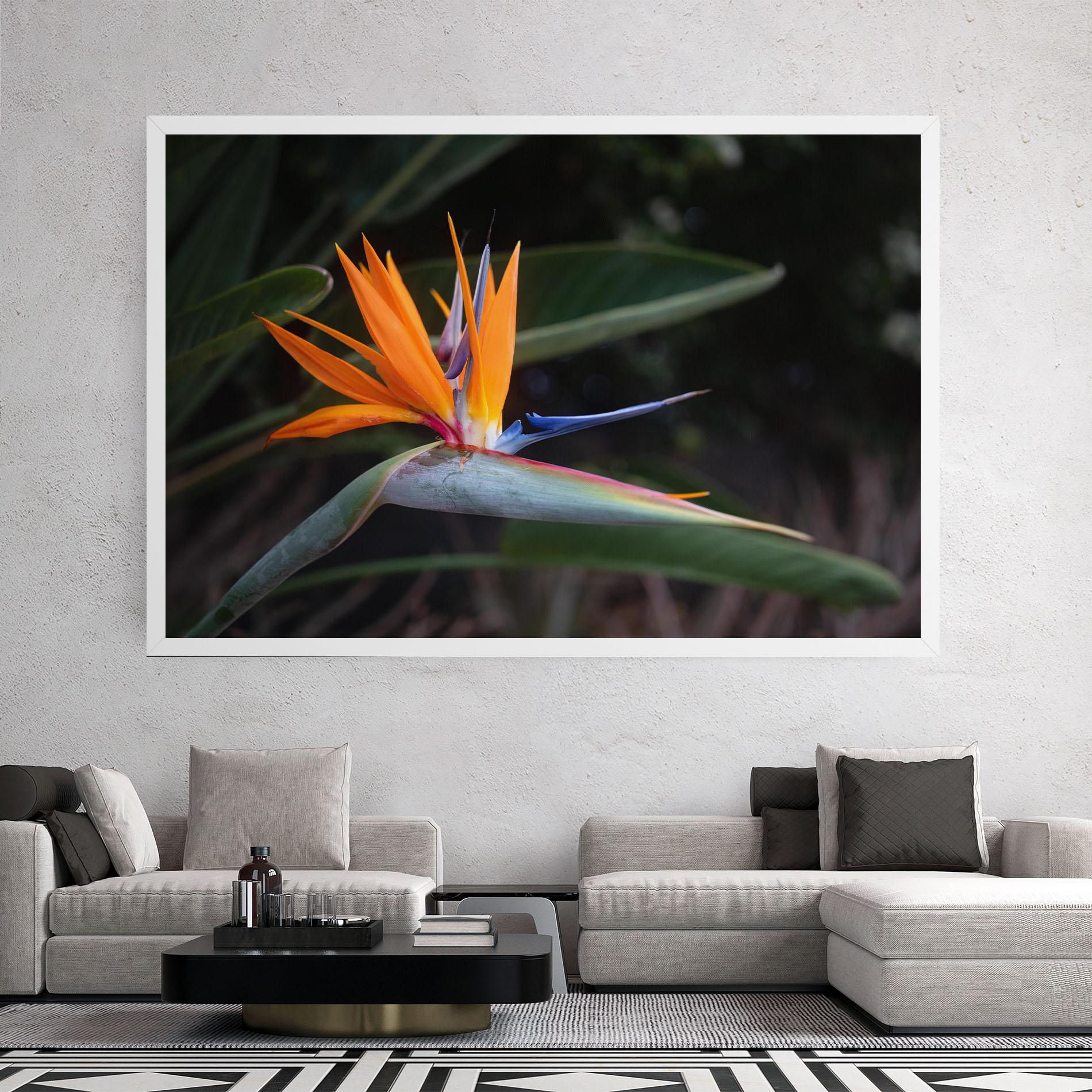 Vászonkép Paradise Plant mockup 2