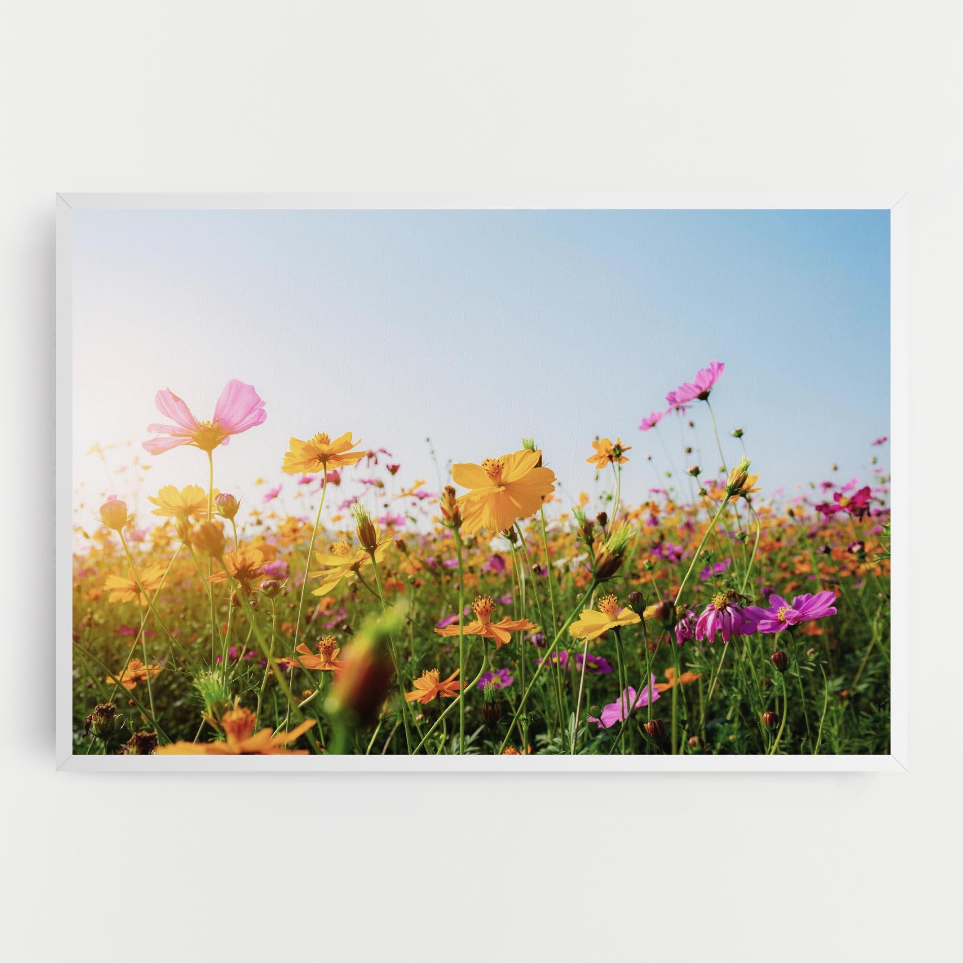 Vászonkép Cosmos Field Sunset mockup 0