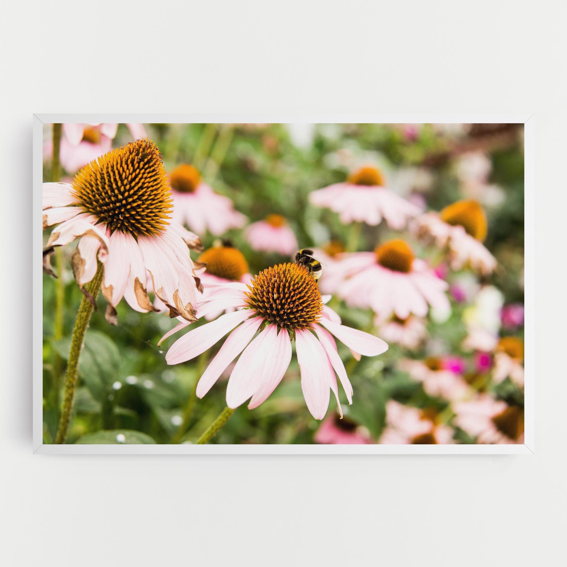 Vászonkép Daylight Bee mockup 0